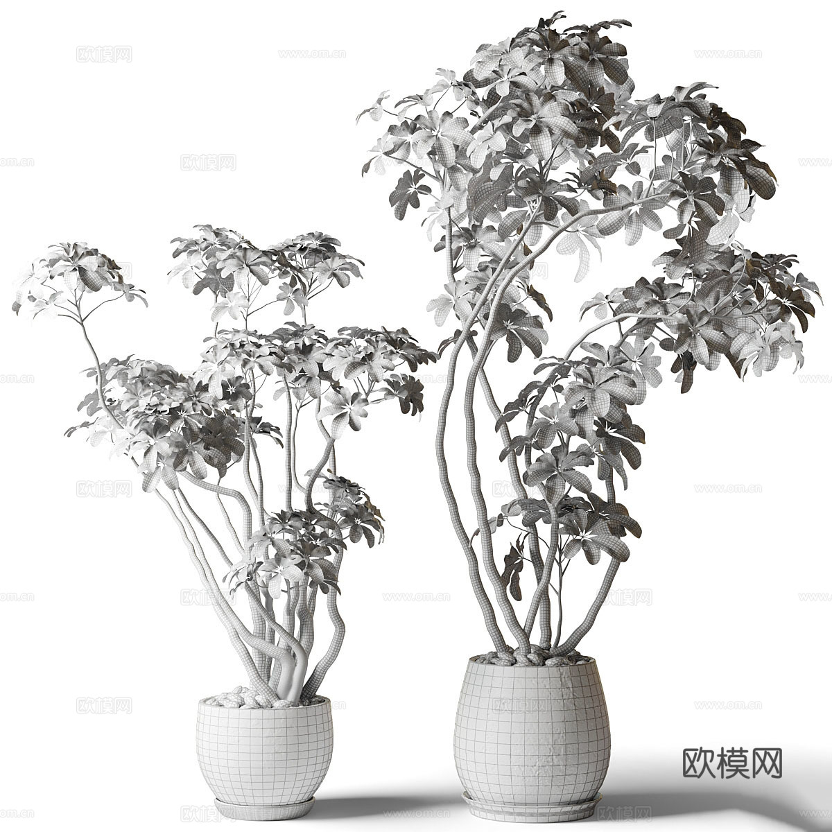 新中式侘寂绿植盆栽3d模型下载（渲染图2）