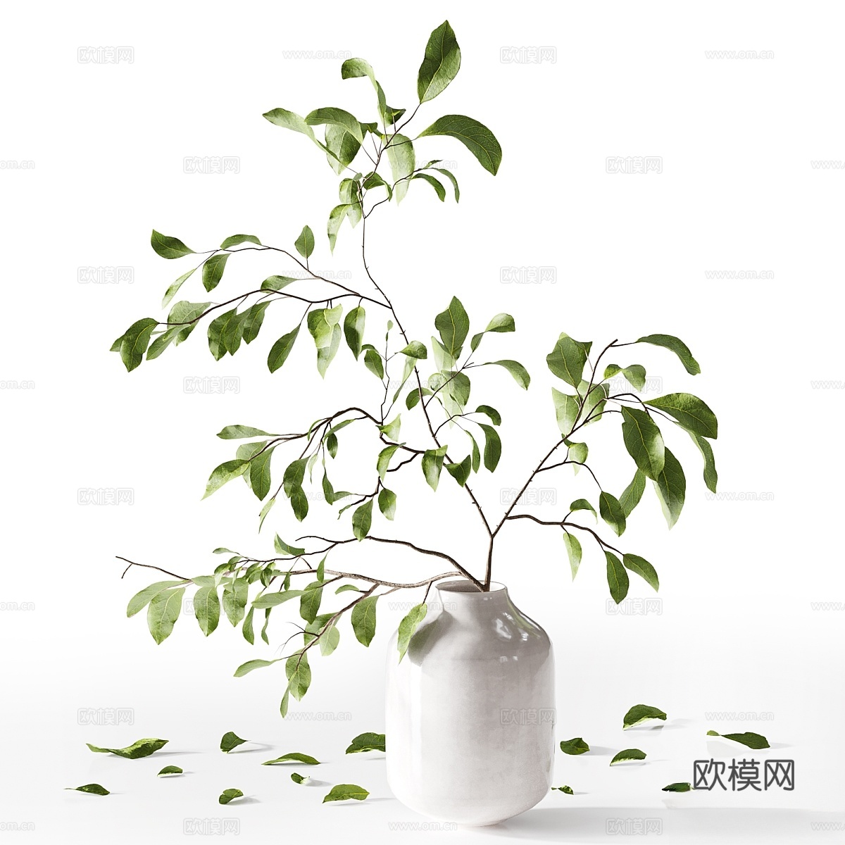 Bouqute363d模型下载