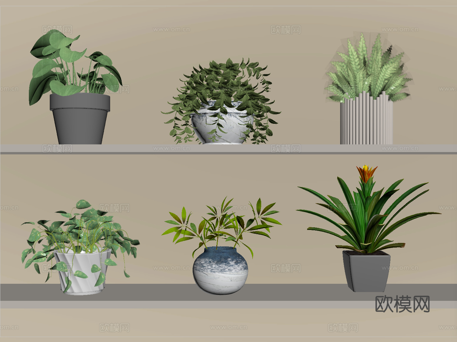现代多肉盆栽 盆景 绿植su模型