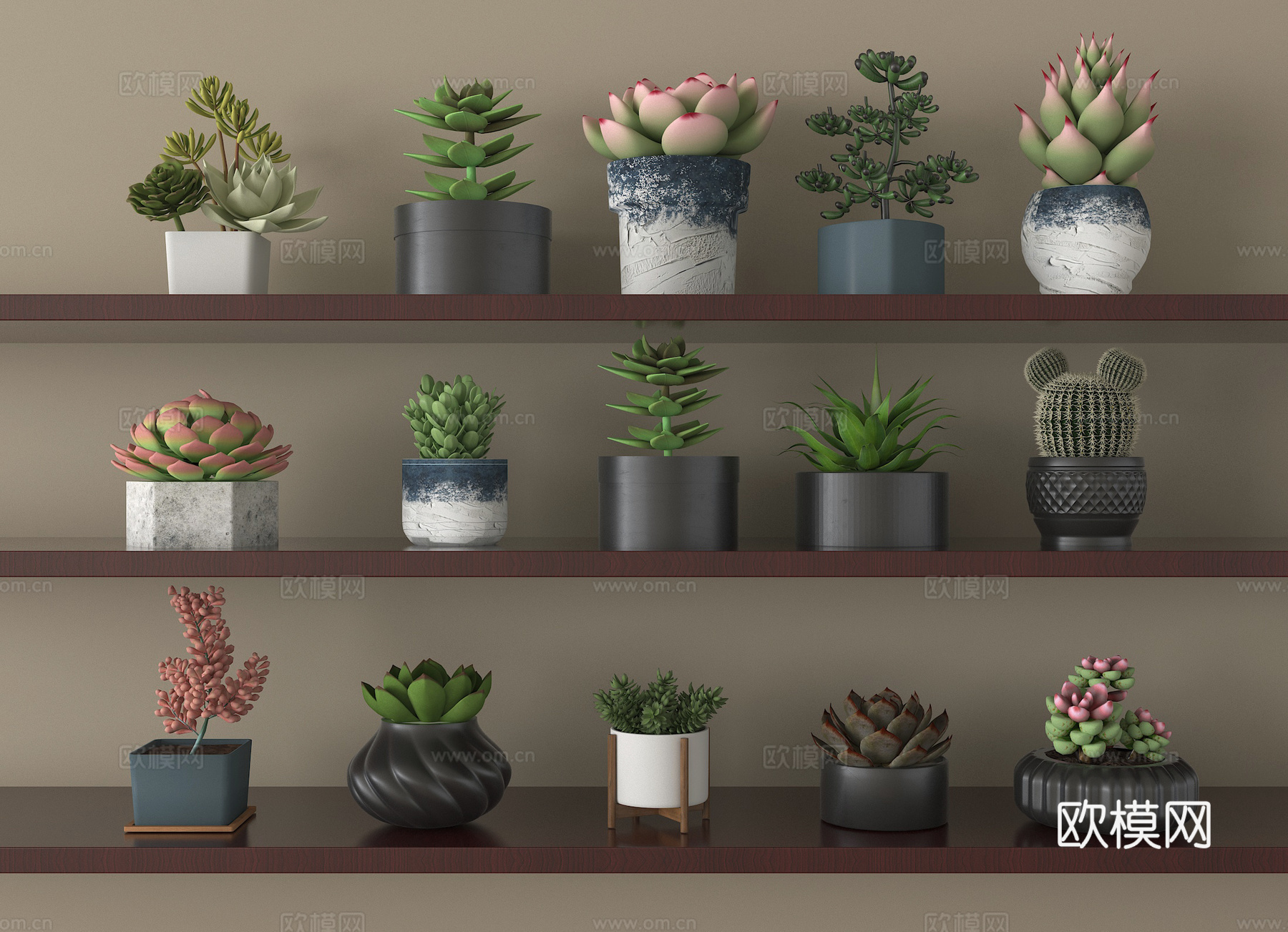 现代多肉盆栽 盆景 绿植su模型