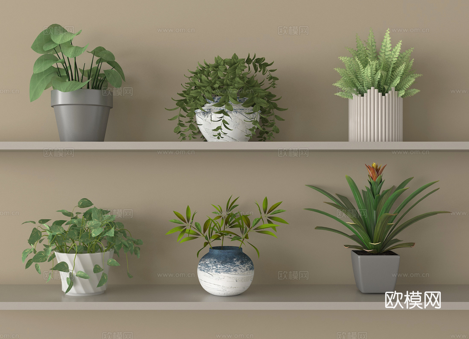 现代多肉盆栽 盆景 绿植su模型