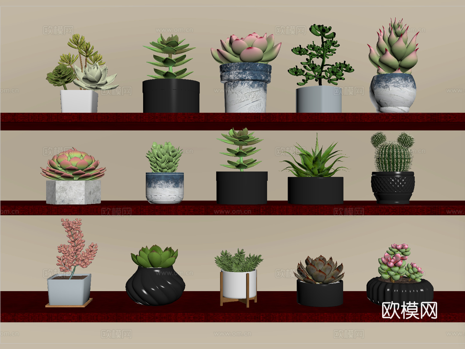 现代多肉盆栽 盆景 绿植su模型