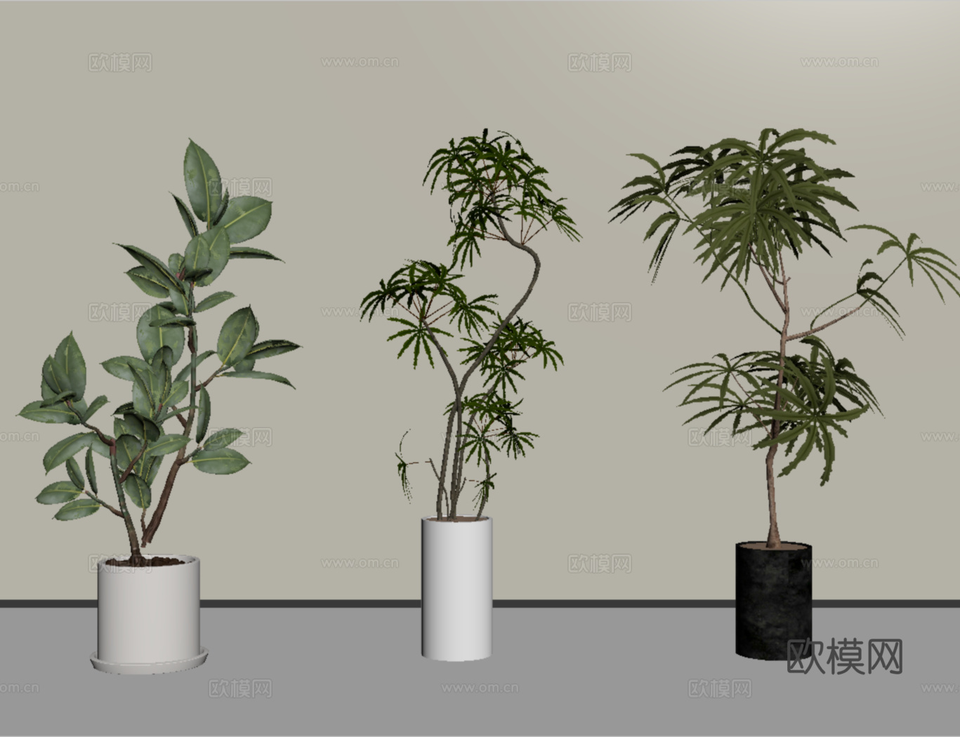 现代植物盆栽盆景 绿植组合su模型