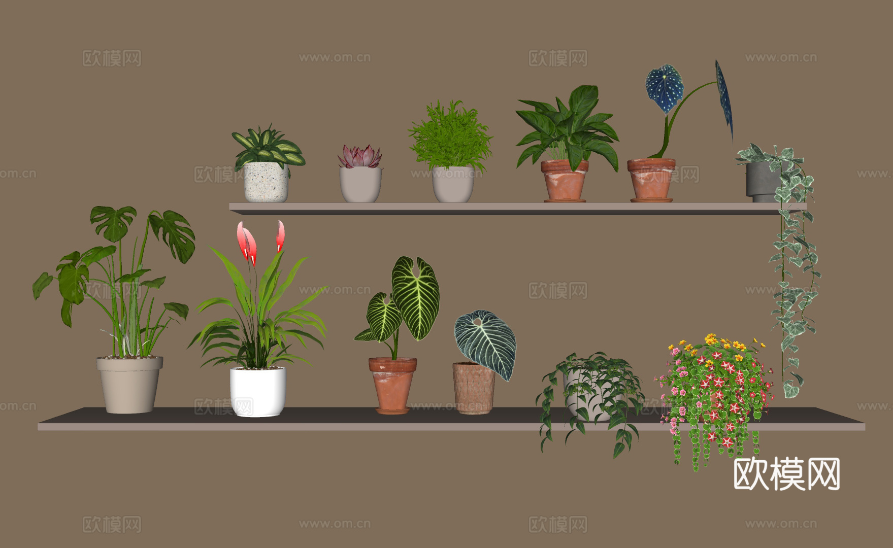 绿植 盆栽 吊兰 植物 摆件su模型