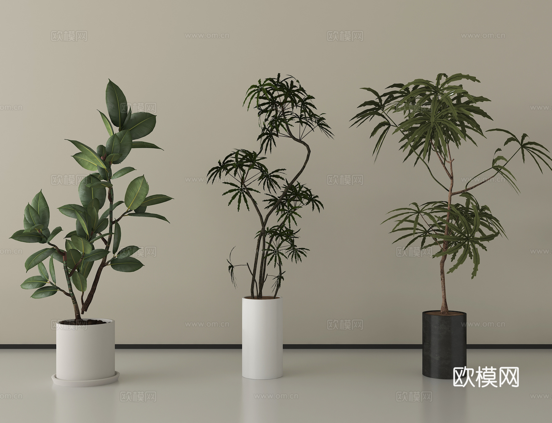 现代植物盆栽盆景 绿植组合su模型