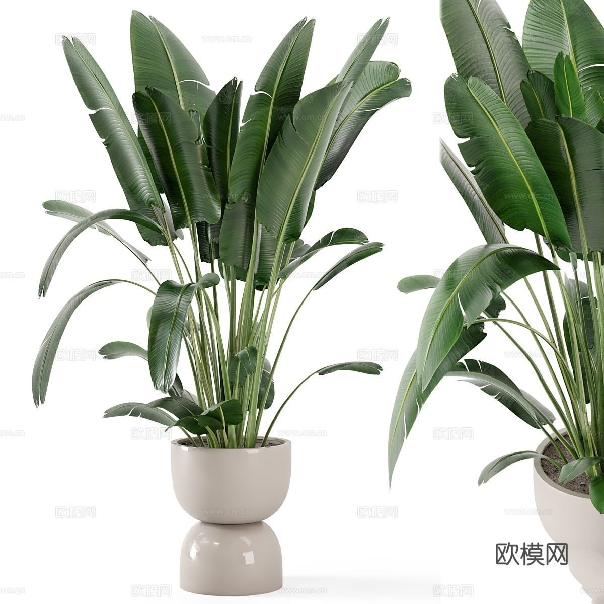 锈蚀混凝土盆栽室内植物 - 套装2653d模型下载