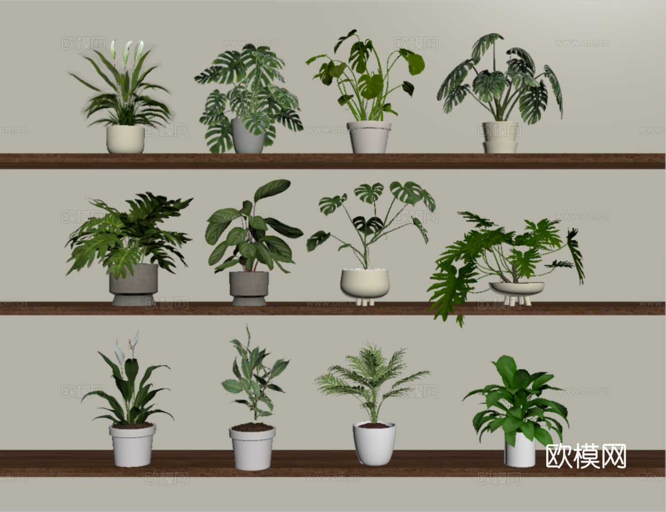现代植物盆栽盆景 绿植组合su模型