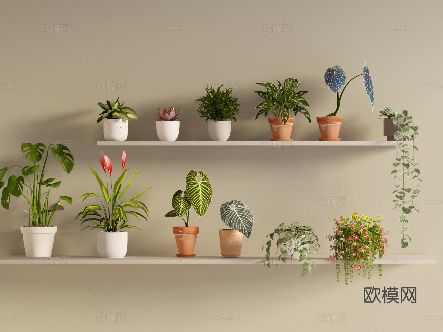 绿植 盆栽 吊兰 植物 摆件su模型