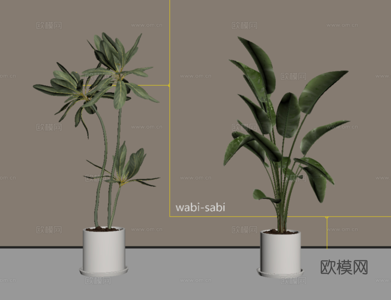 现代植物盆栽盆景 绿植组合su模型
