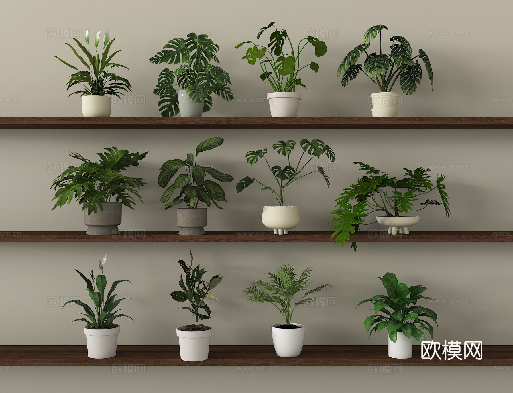 现代植物盆栽盆景 绿植组合su模型