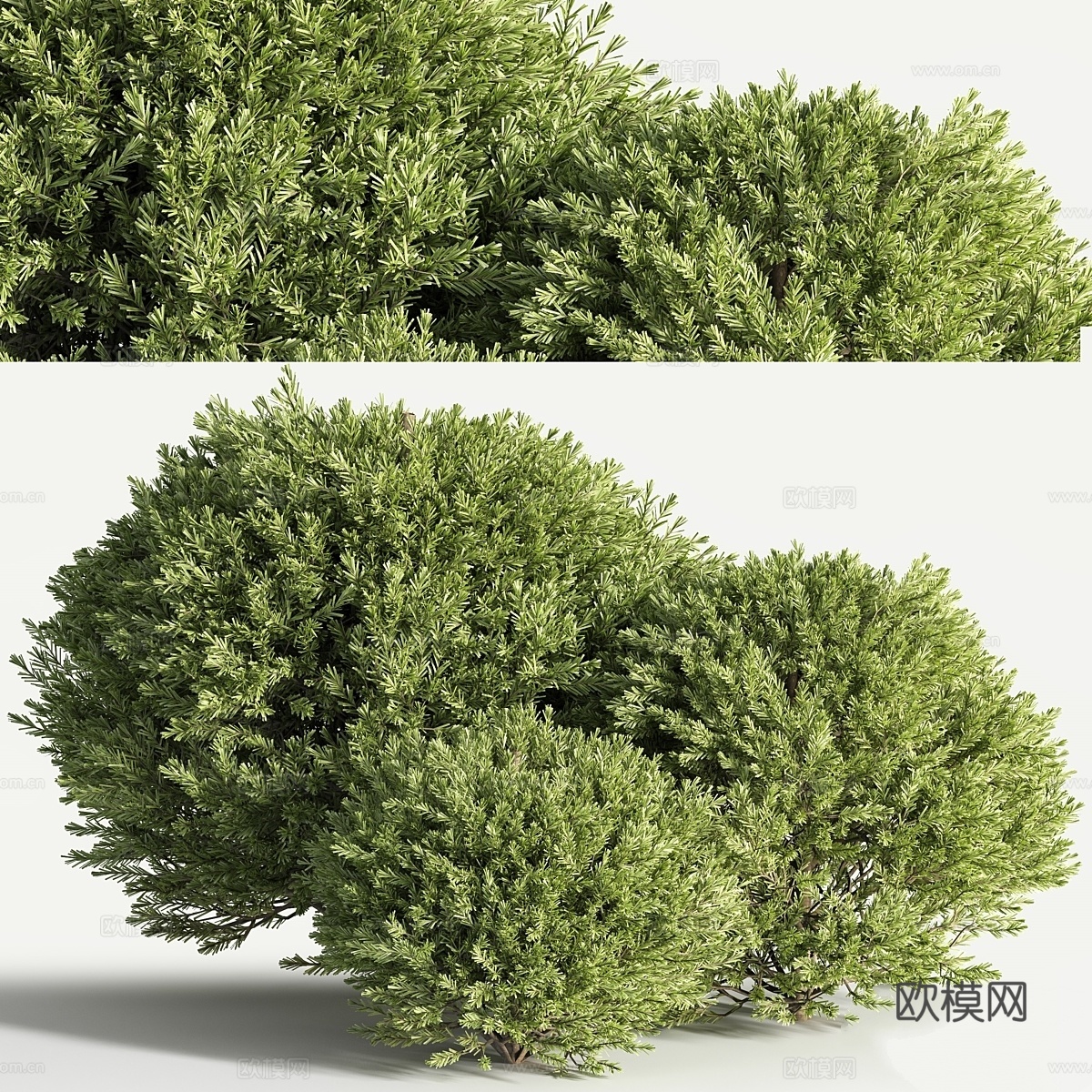 push08_vray3d模型下载