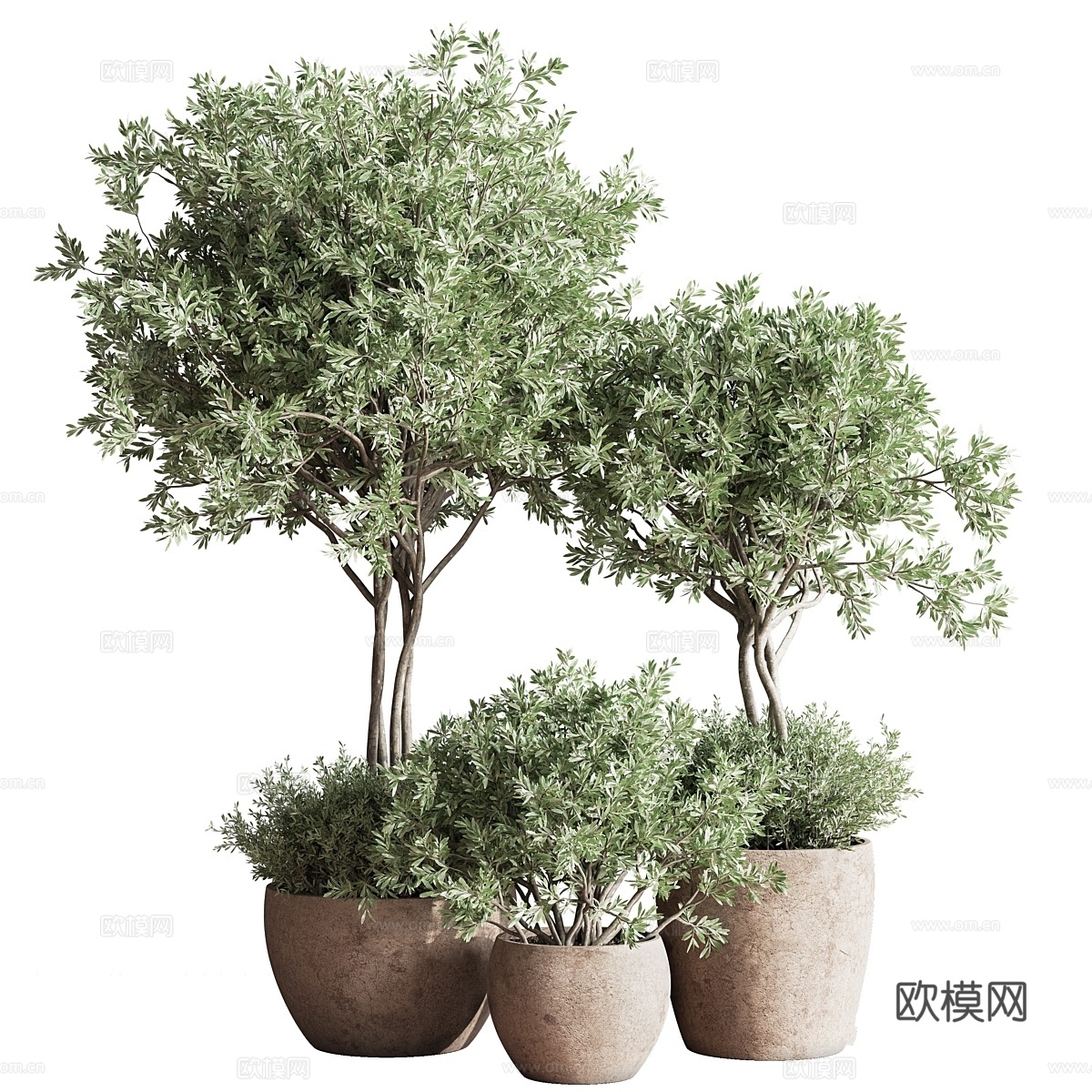 室内植物套装593d模型下载