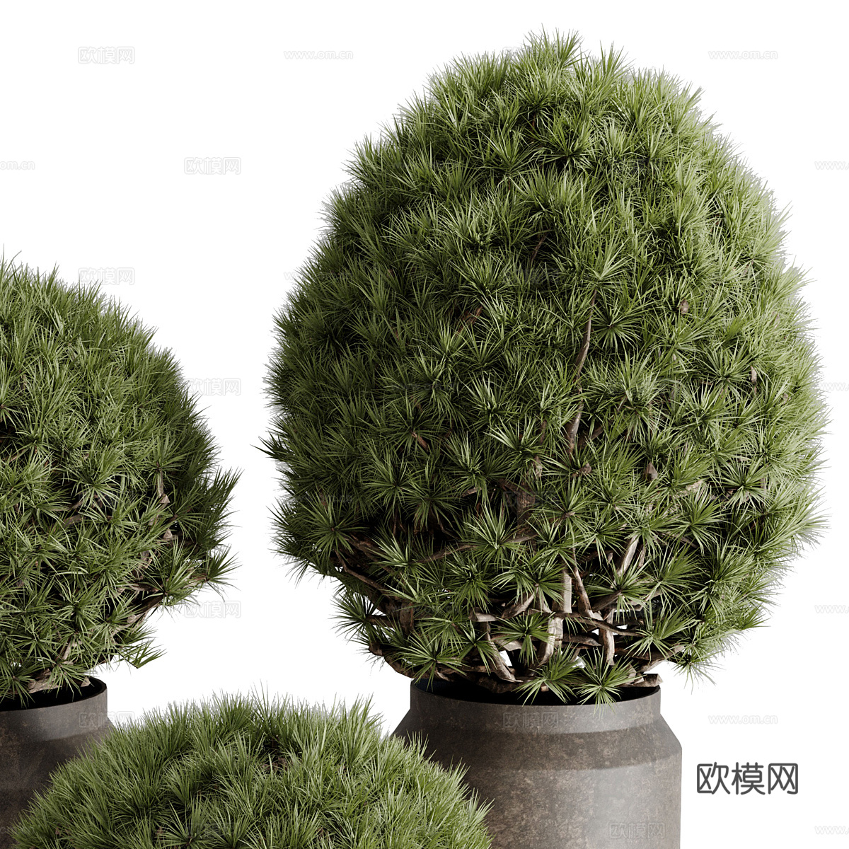 新中式户外绿植盆景 盆栽3d模型下载（渲染图5）