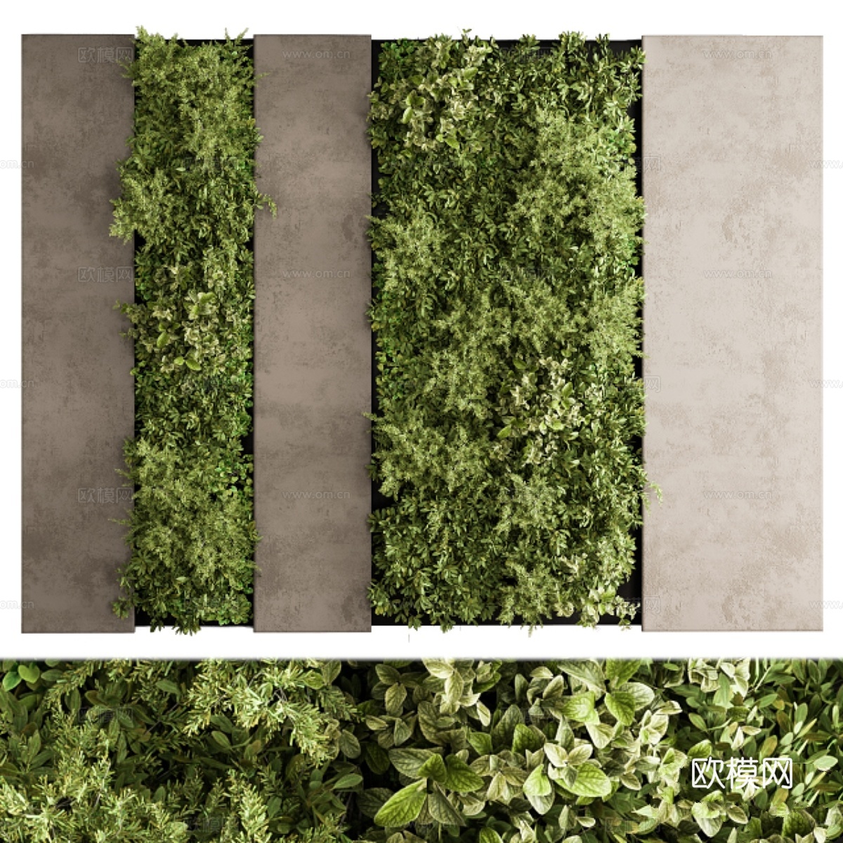 垂直花园木框 - 墙面装饰 333d模型下载