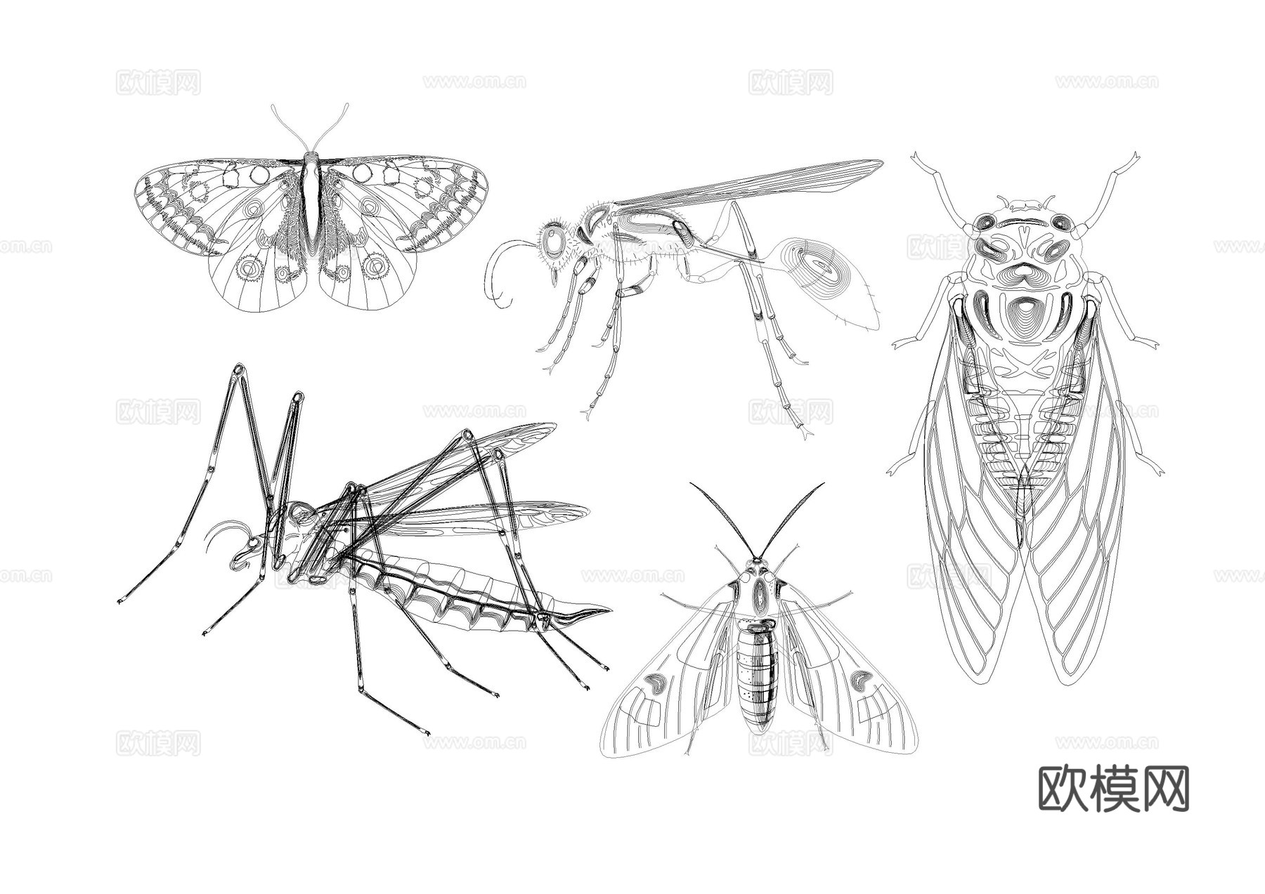 昆虫动物图库cad施工图