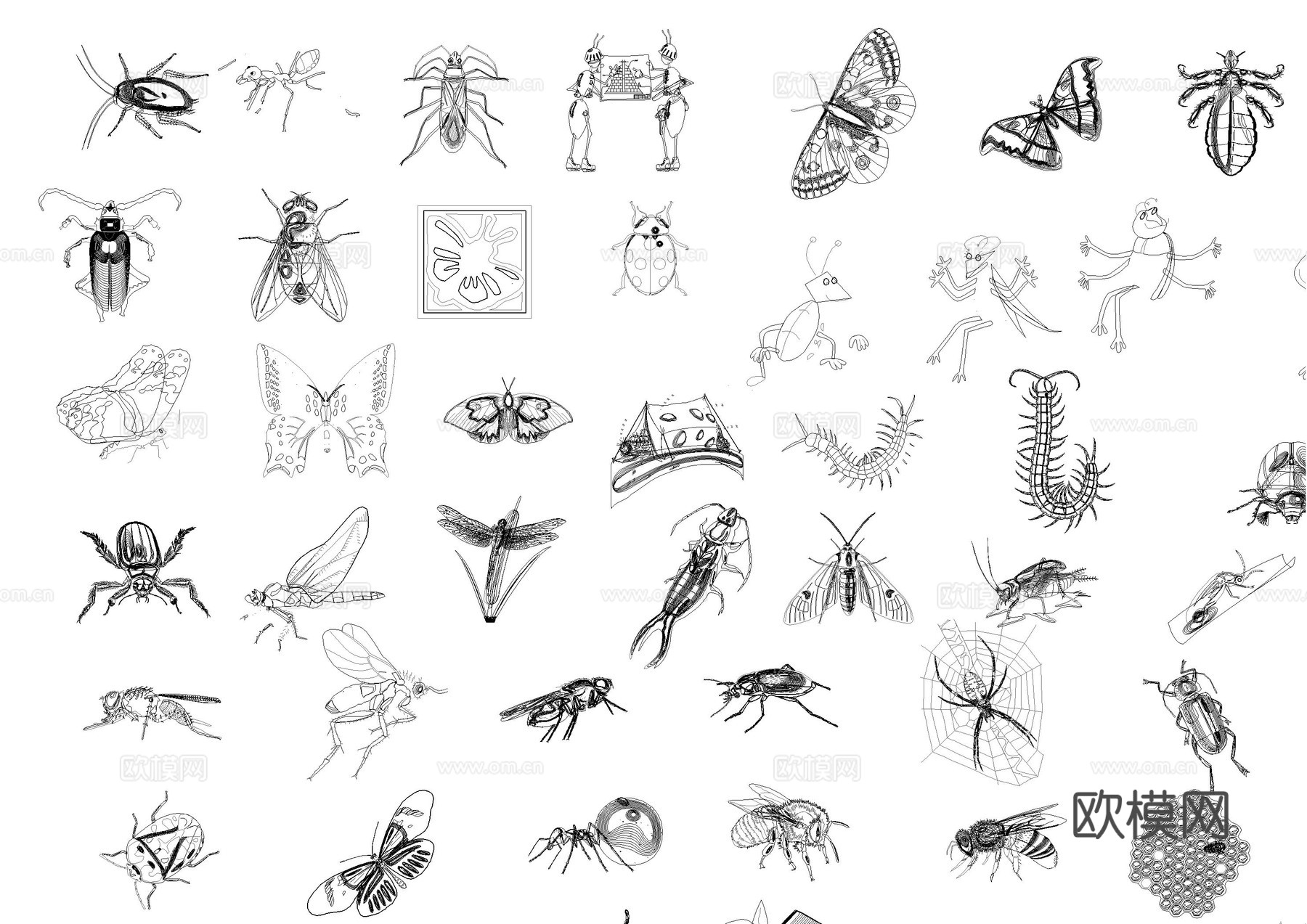 昆虫动物图库cad施工图
