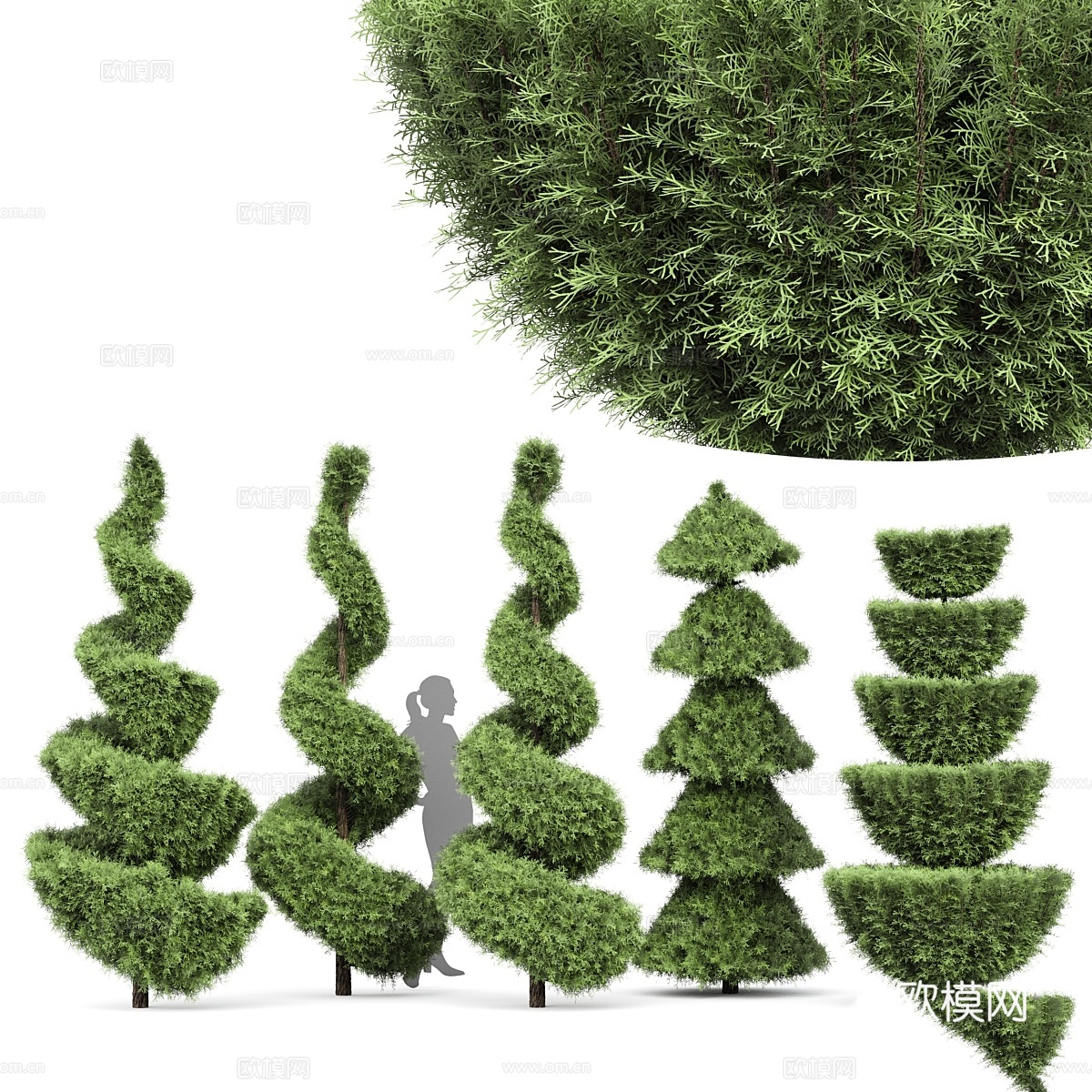 心爱意大利柏树 5种创意3d模型下载