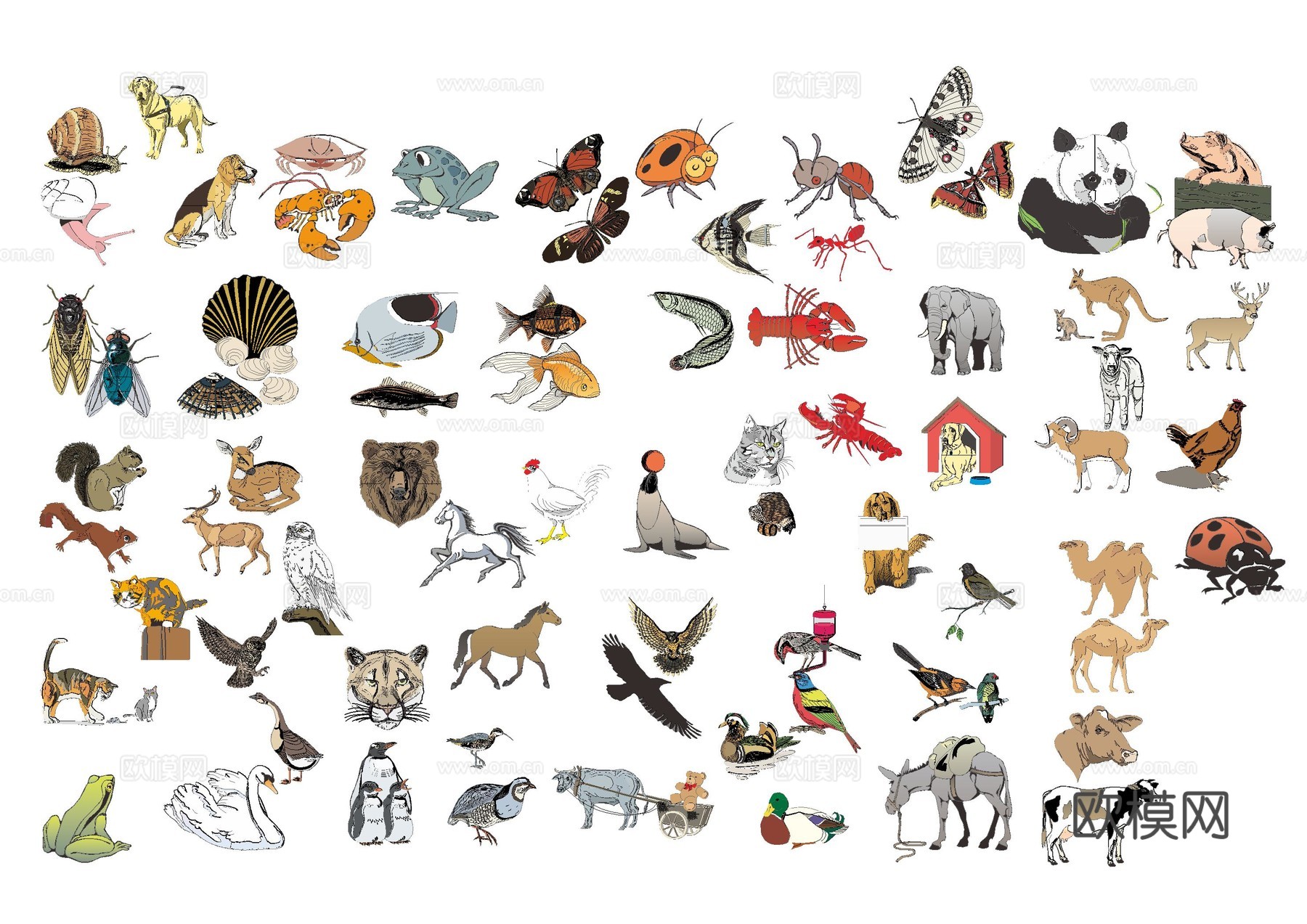 各类动物图库cad施工图