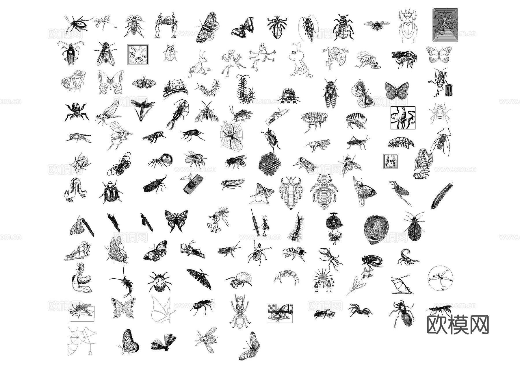 昆虫动物图库cad施工图