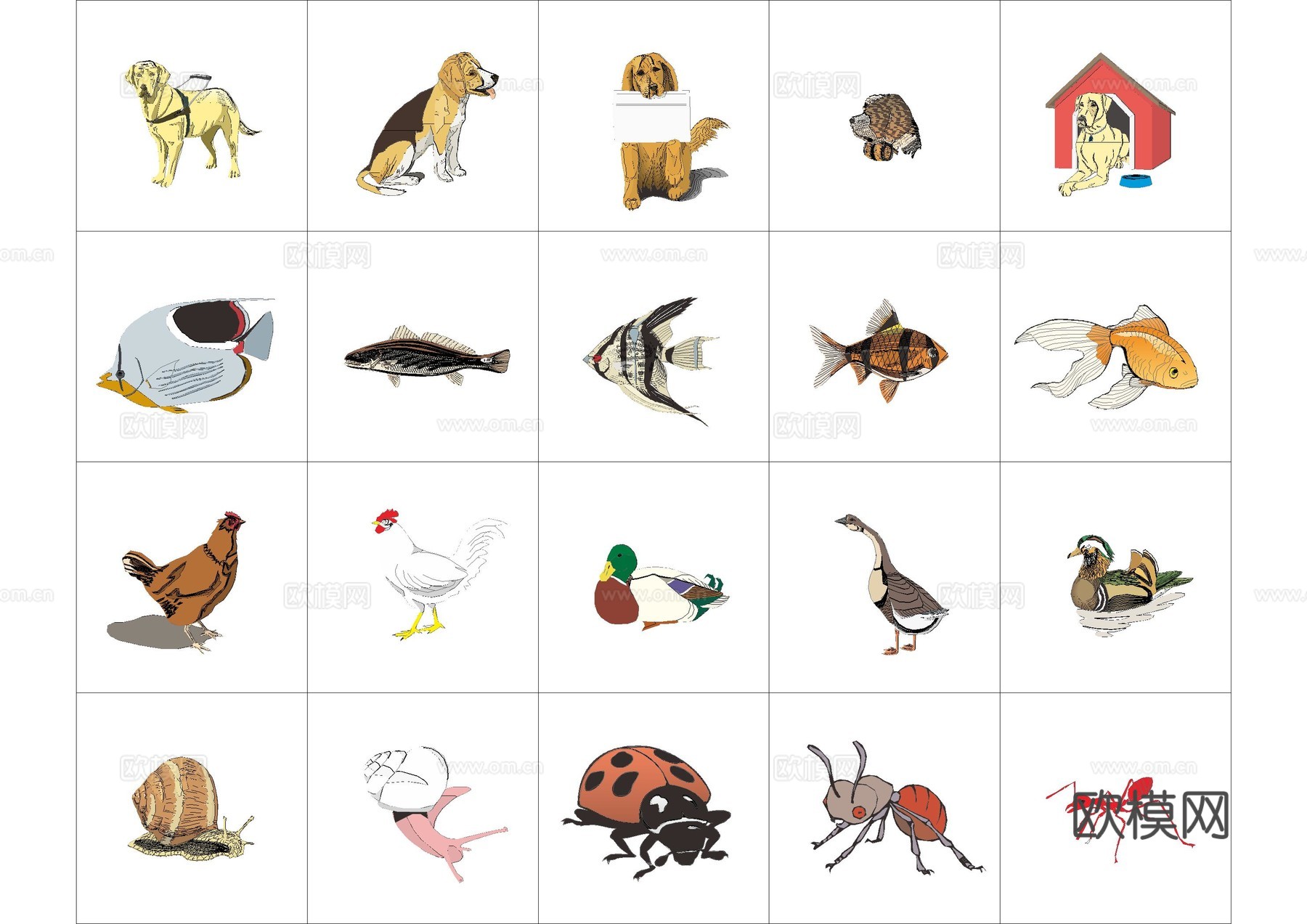 蝴蝶昆虫图库cad施工图