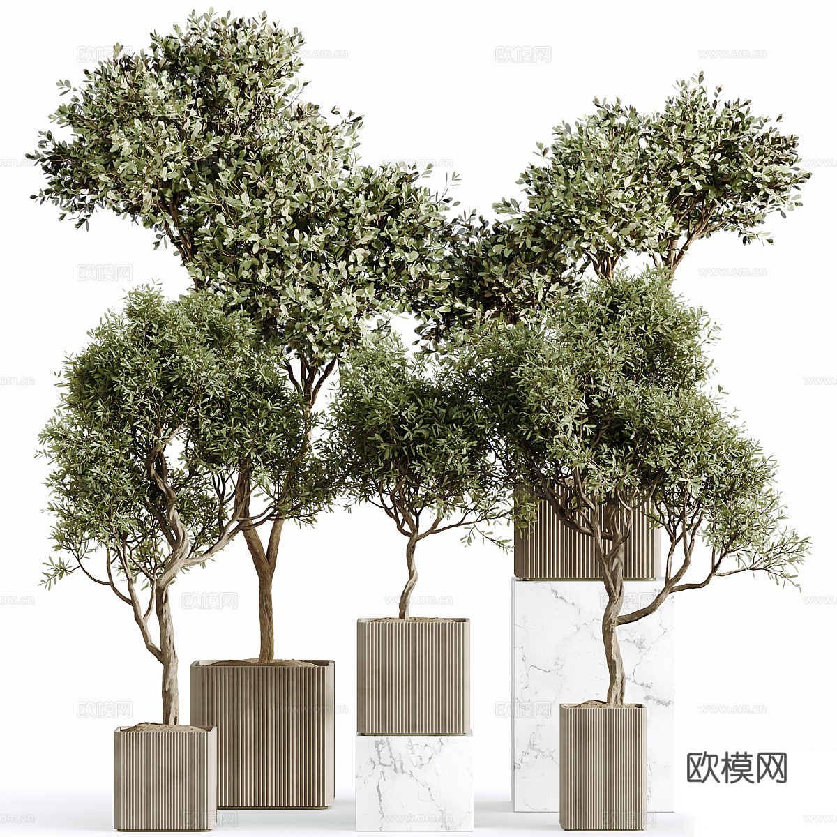 现代室内绿植盆栽3d模型下载（渲染图1）