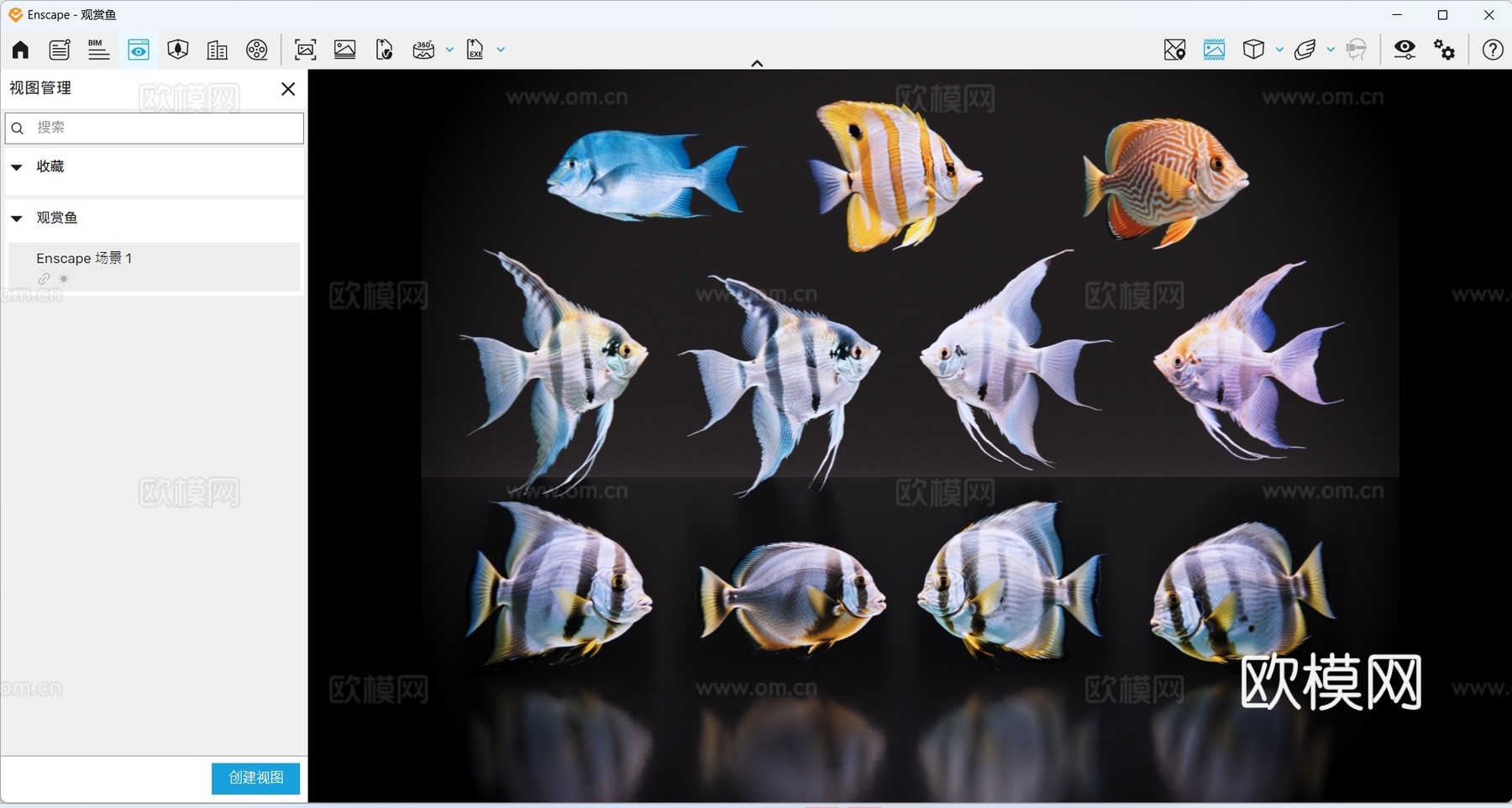 2D动物 小丑鱼 观赏鱼 海洋馆 水族馆 动物世界su模型
