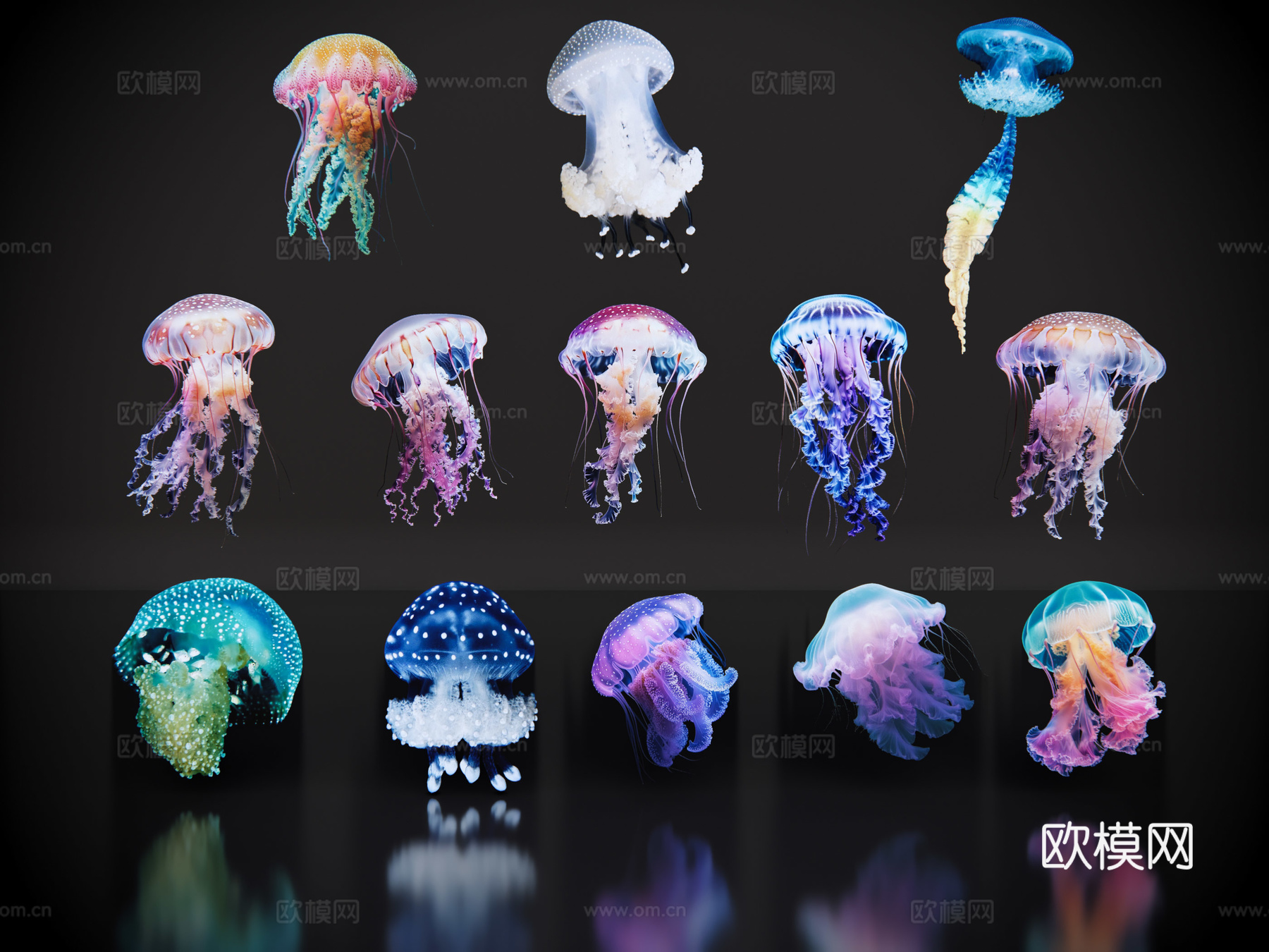 2D动物 水母 海洋馆 水族馆 动物世界su模型