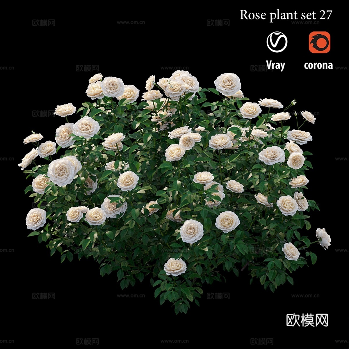玫瑰植物套装273d模型下载