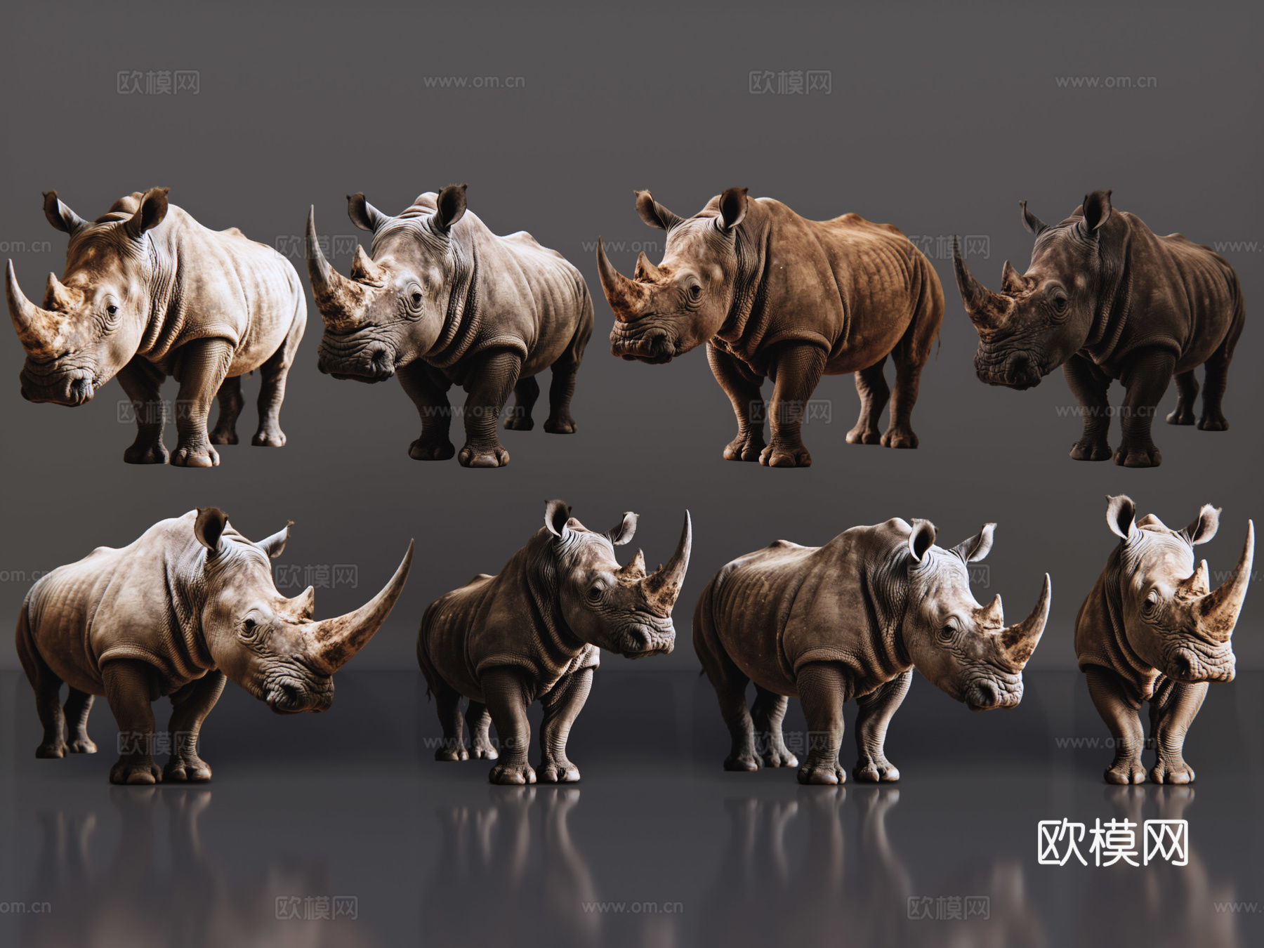 2D动物 犀牛 动物园 野生动物 动物世界 野外动物su模型