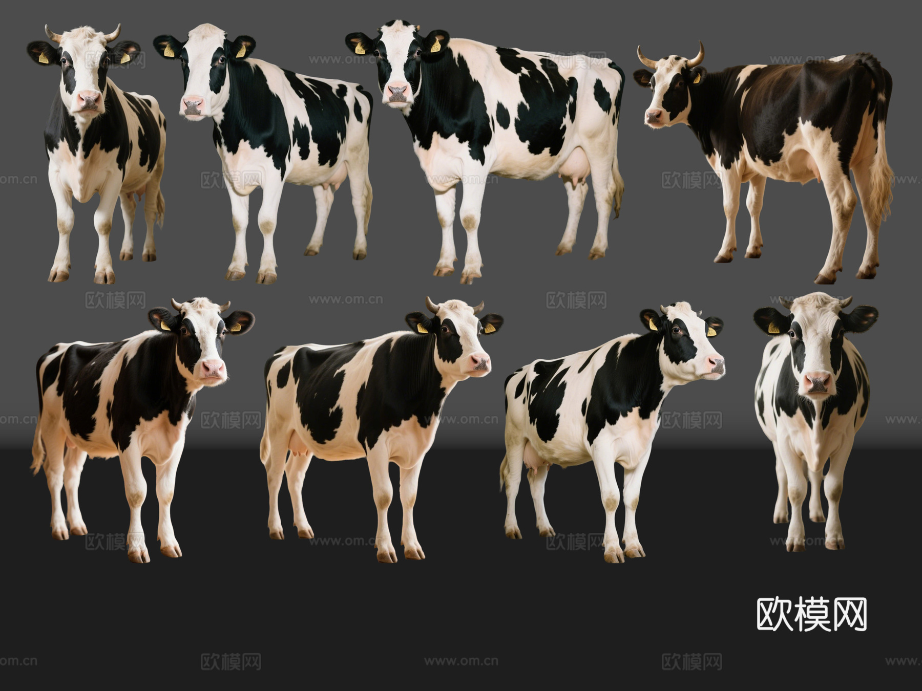 2D动物 奶牛 动物园 野生动物 动物世界 野外动物su模型