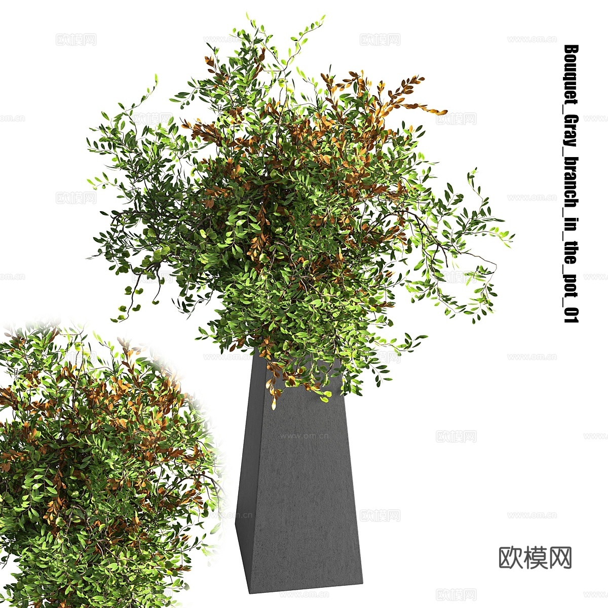 盆栽灰枝花束013d模型下载