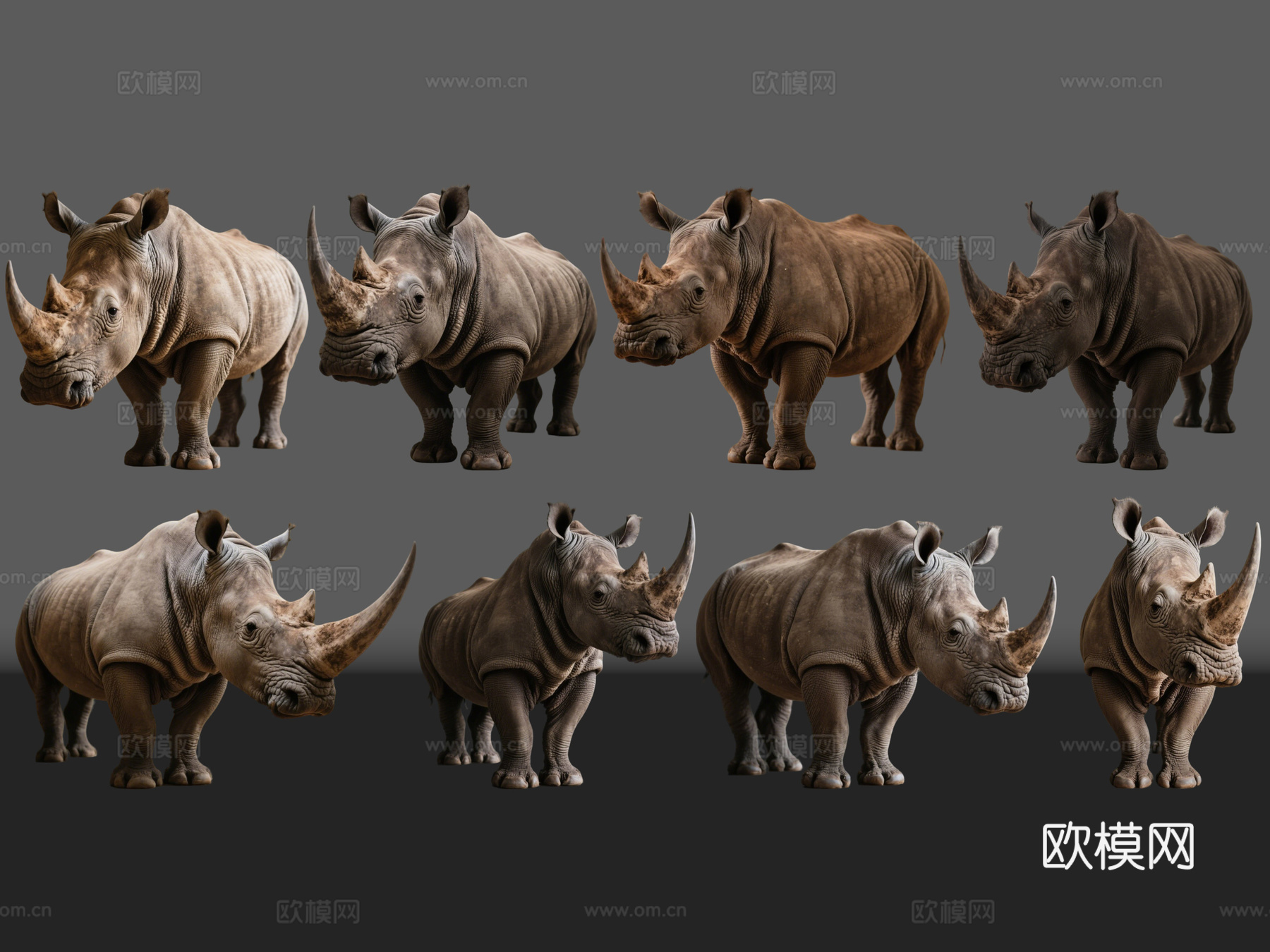 2D动物 犀牛 动物园 野生动物 动物世界 野外动物su模型