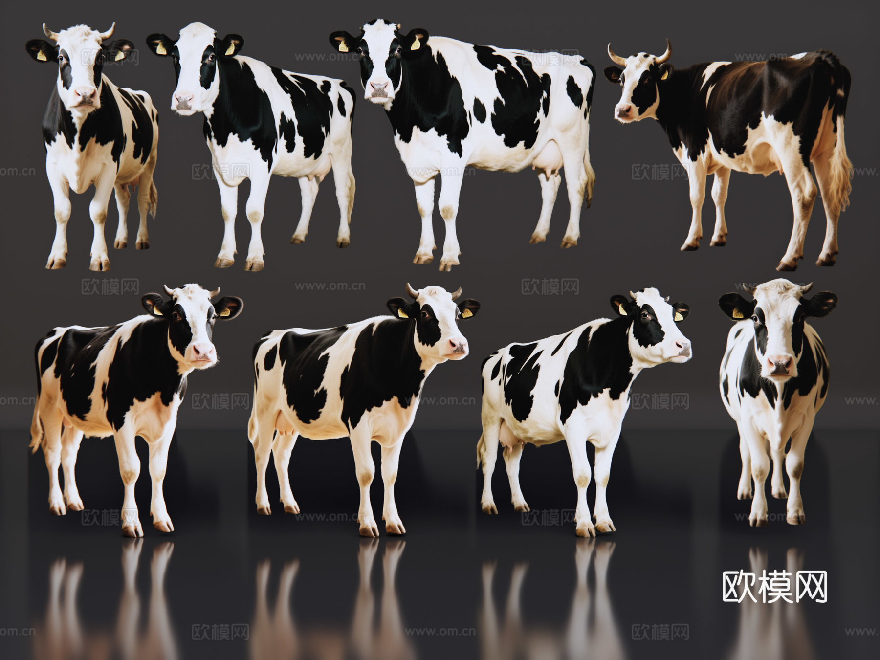 2D动物 奶牛 动物园 野生动物 动物世界 野外动物su模型
