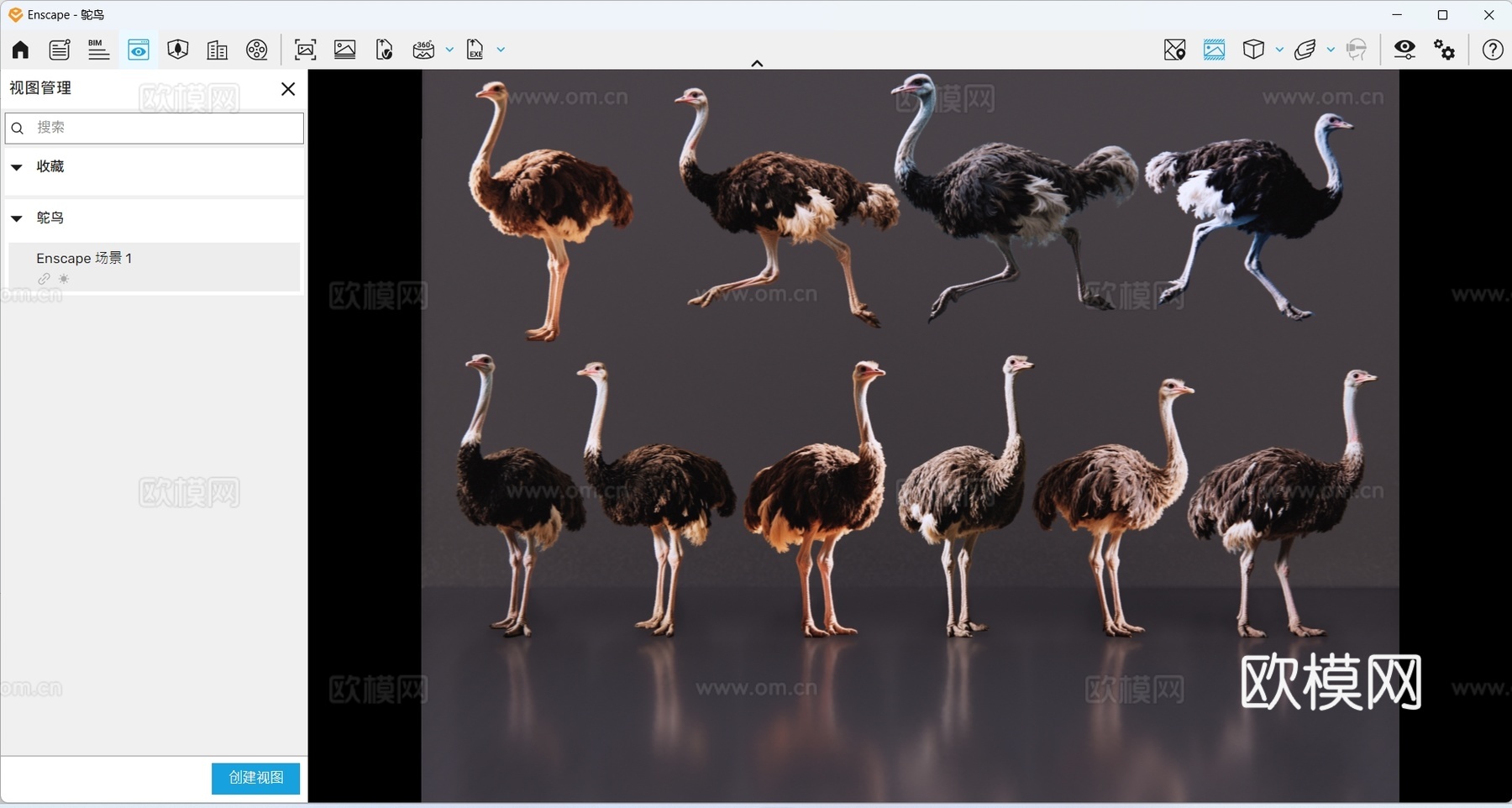 2D动物 鸵鸟 动物园 野生动物 动物世界 野外动物su模型