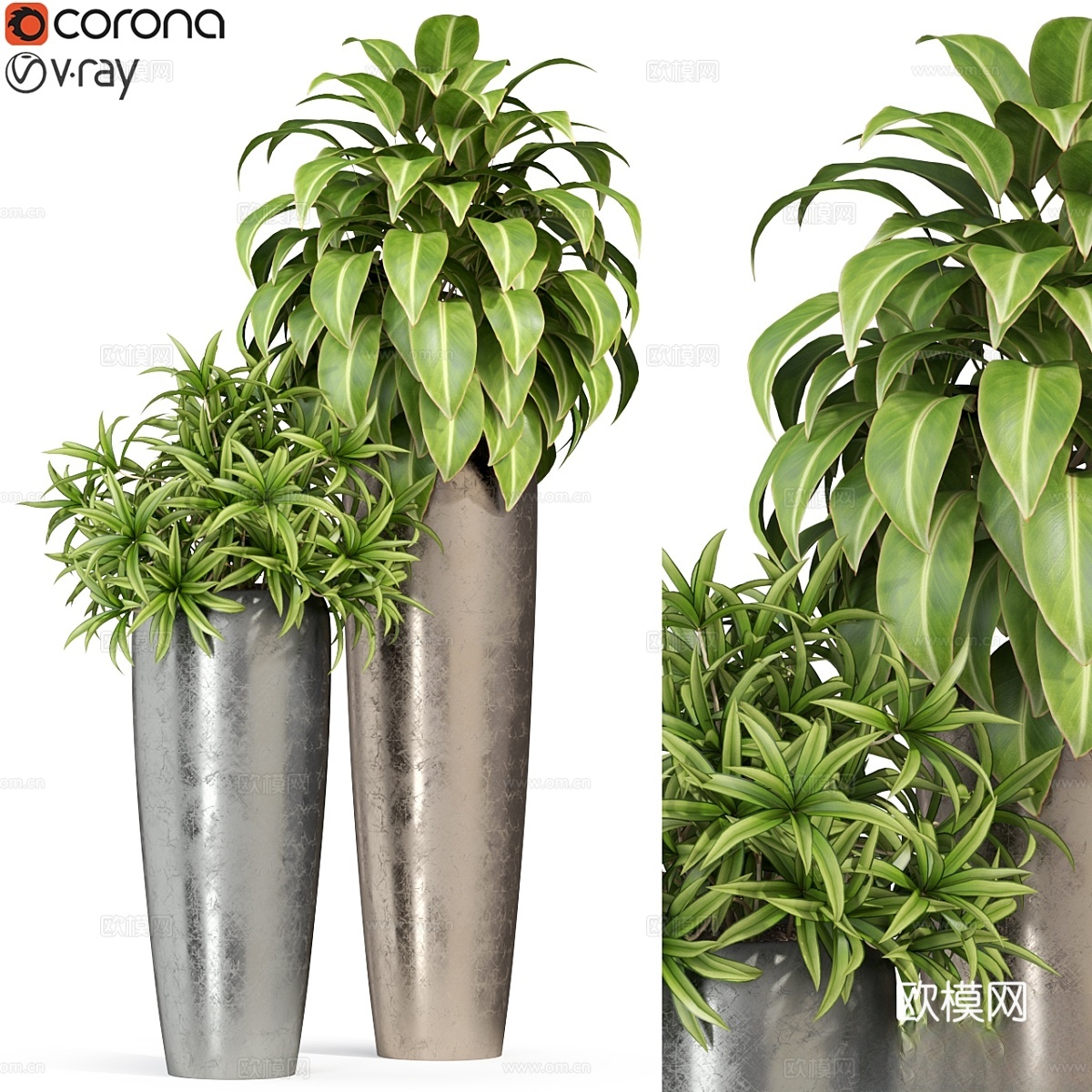 植物系列283 Fleurami ROYAL3d模型下载