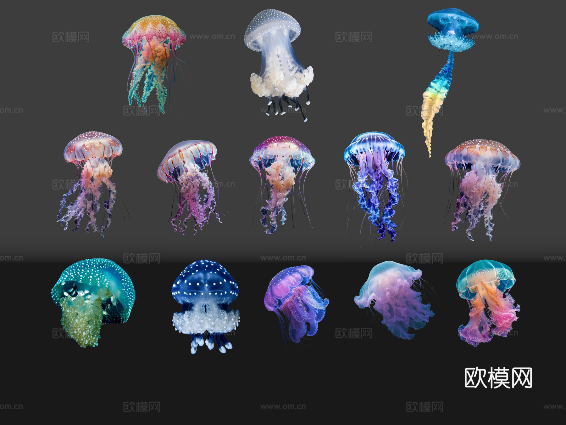 2D动物 水母 海洋馆 水族馆 动物世界su模型