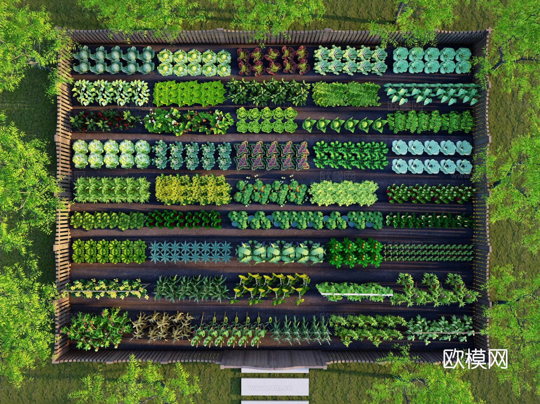 现代农作物 一米菜园 蔬菜 庄稼 菜园菜地农地 农产品 粮食su模型