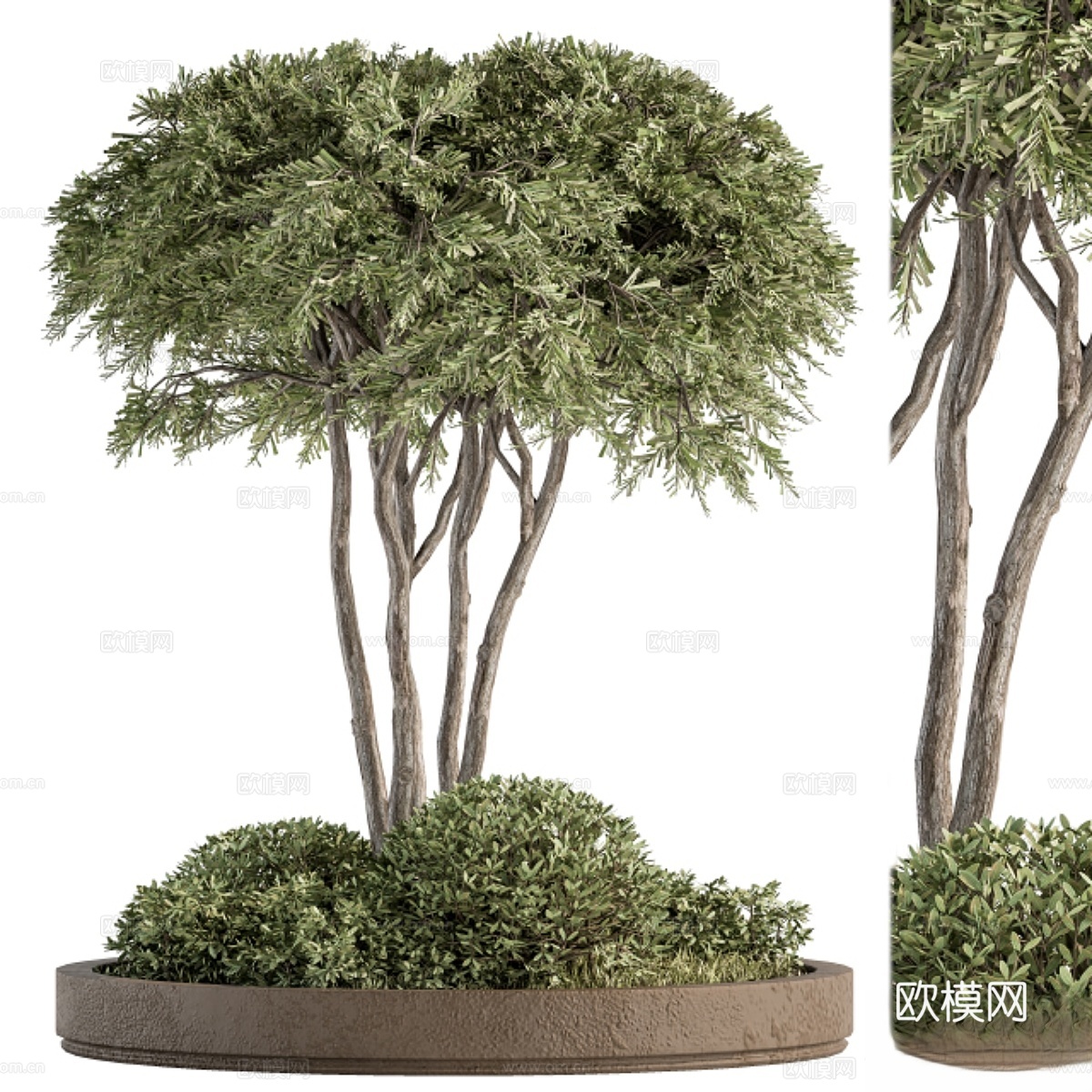 常春藤与灌木花园套装 - 花园套装193d模型下载