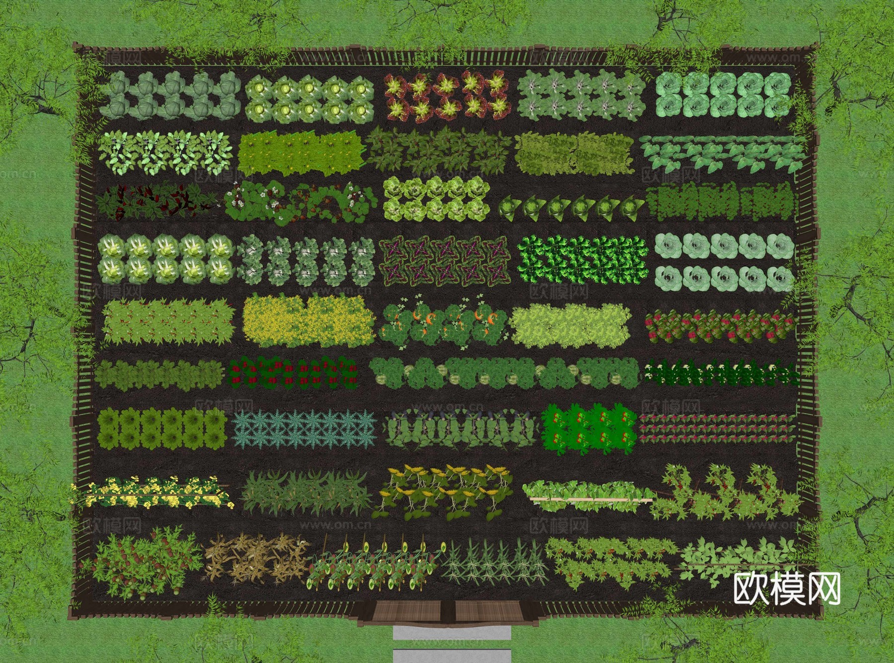 现代农作物 一米菜园 蔬菜 庄稼 菜园菜地农地 农产品 粮食su模型