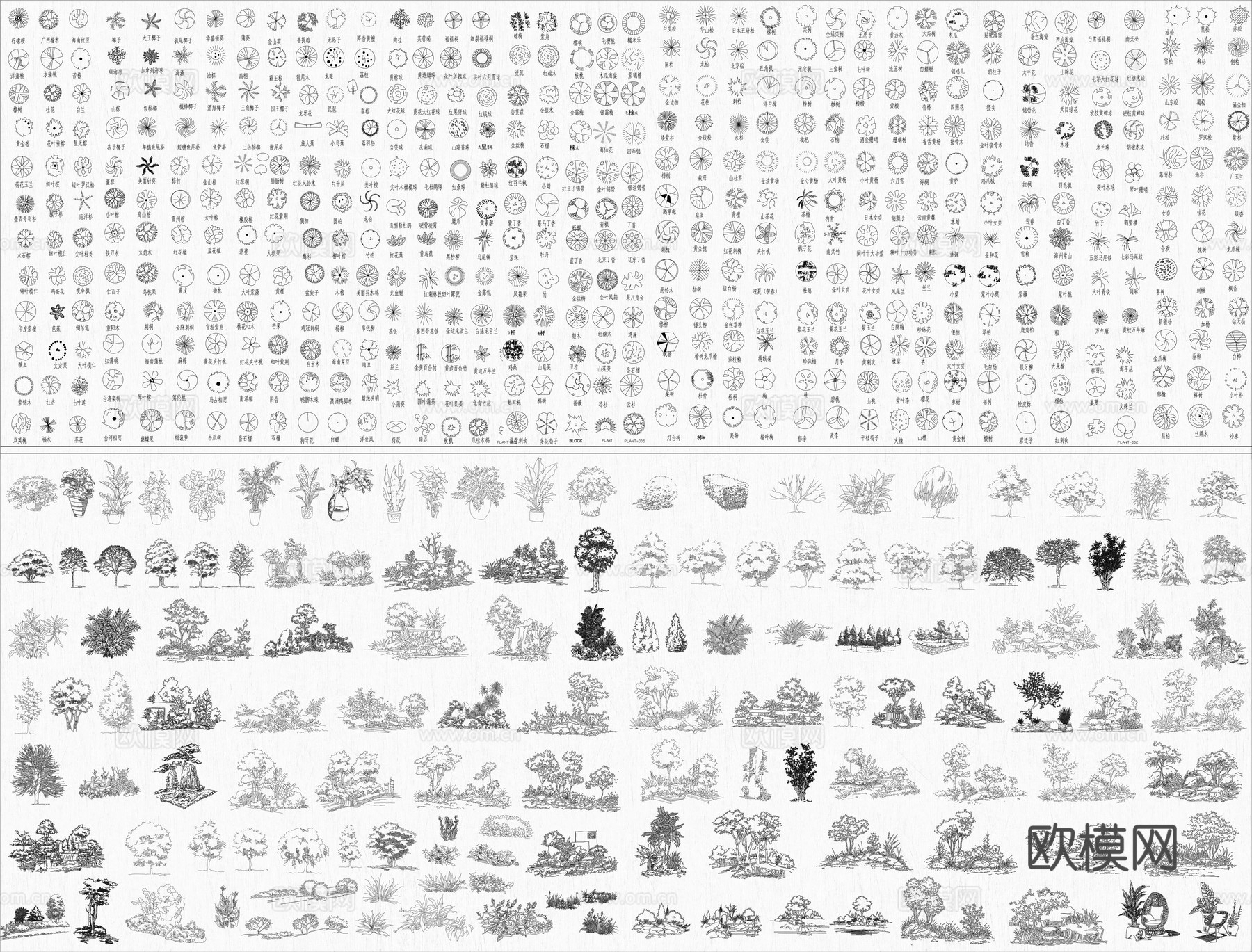 植物CAD平立面图库cad施工图