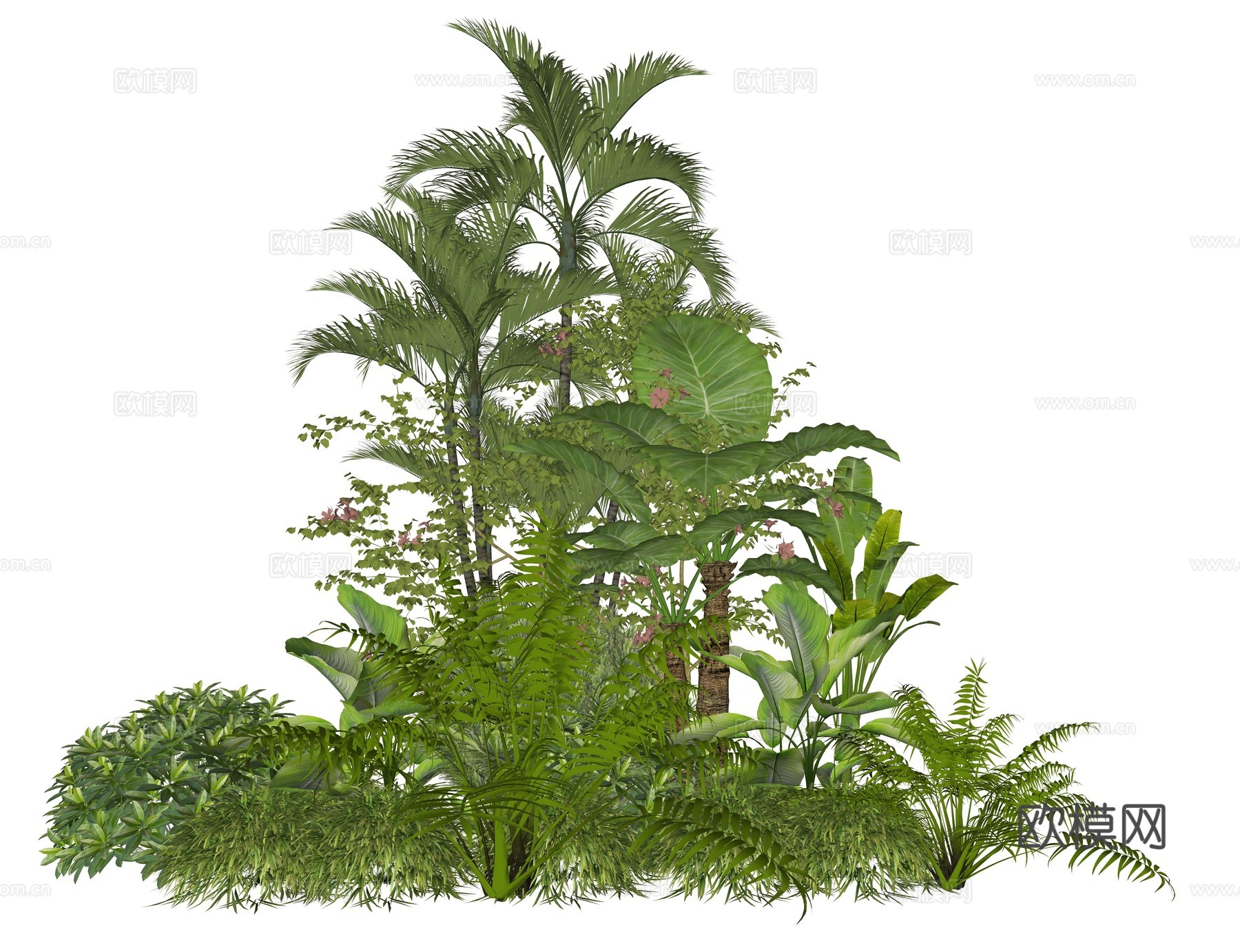 现代庭院植物堆景观组合su模型