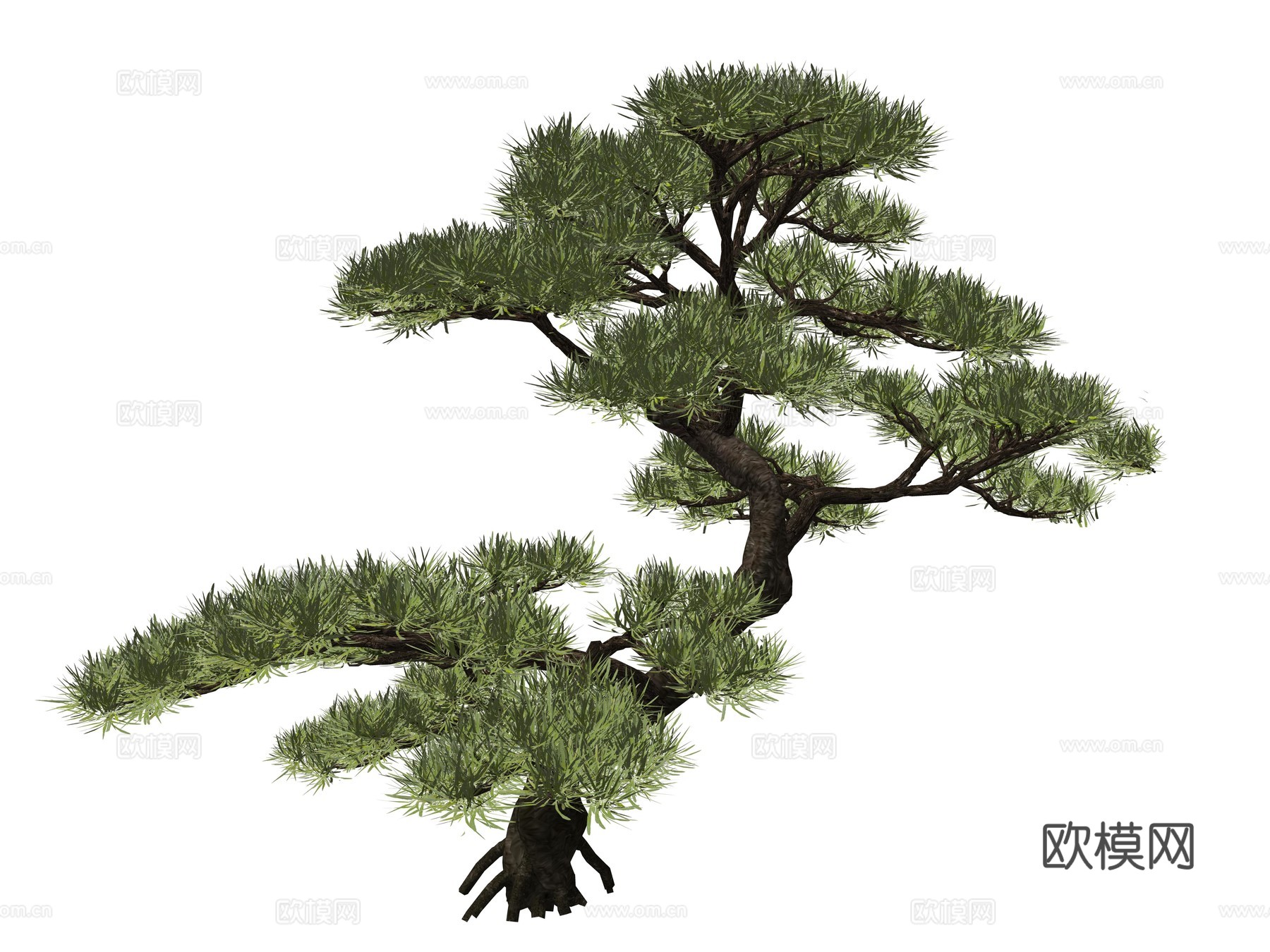 新中式造型松植物su模型