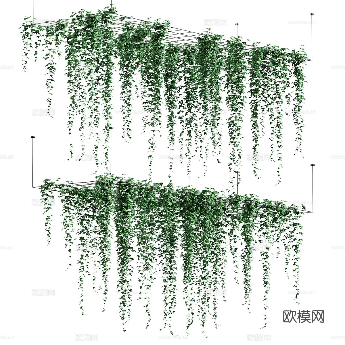 天花板悬挂常春藤。6款3d模型下载