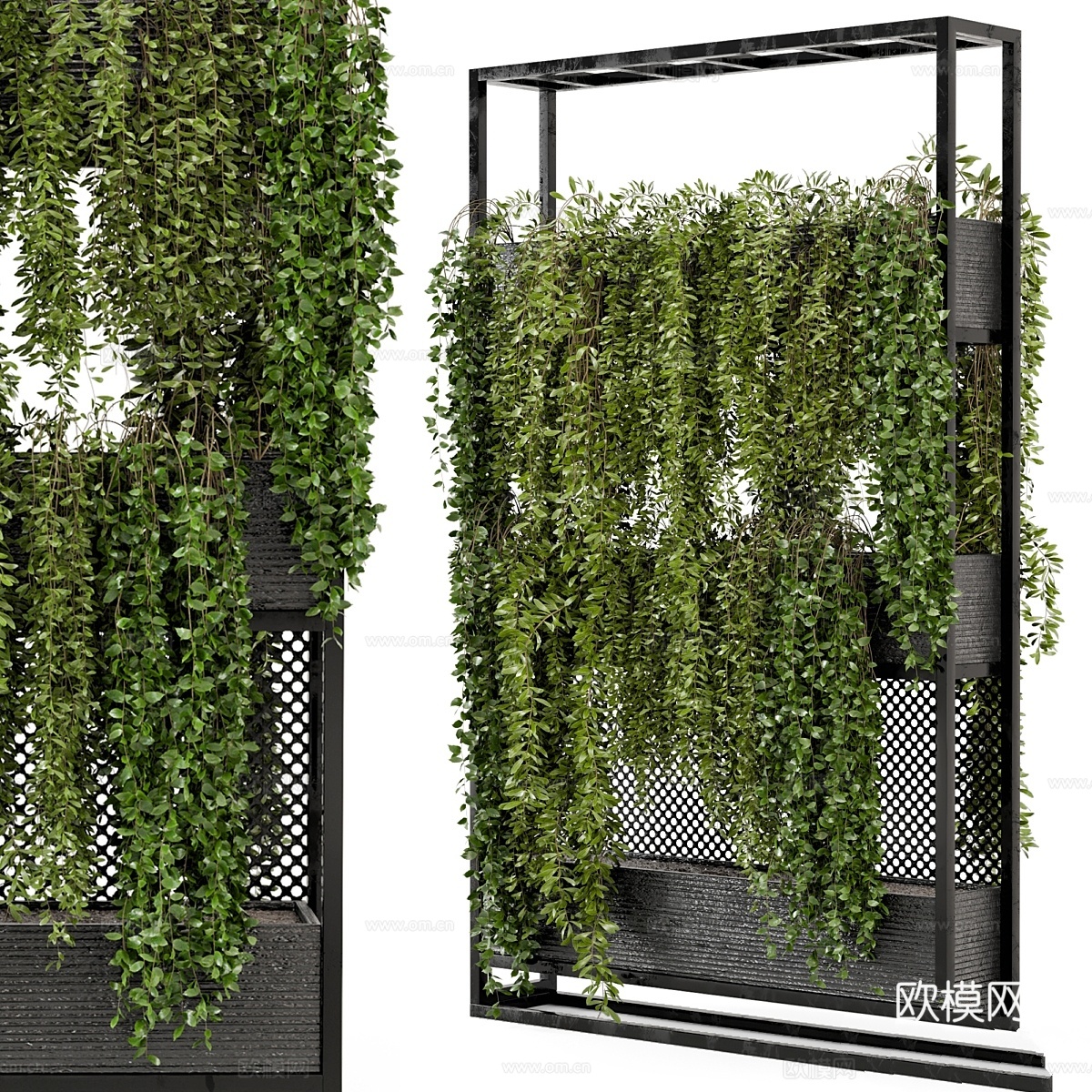 金属支架室内吊挂植物套装1003d模型