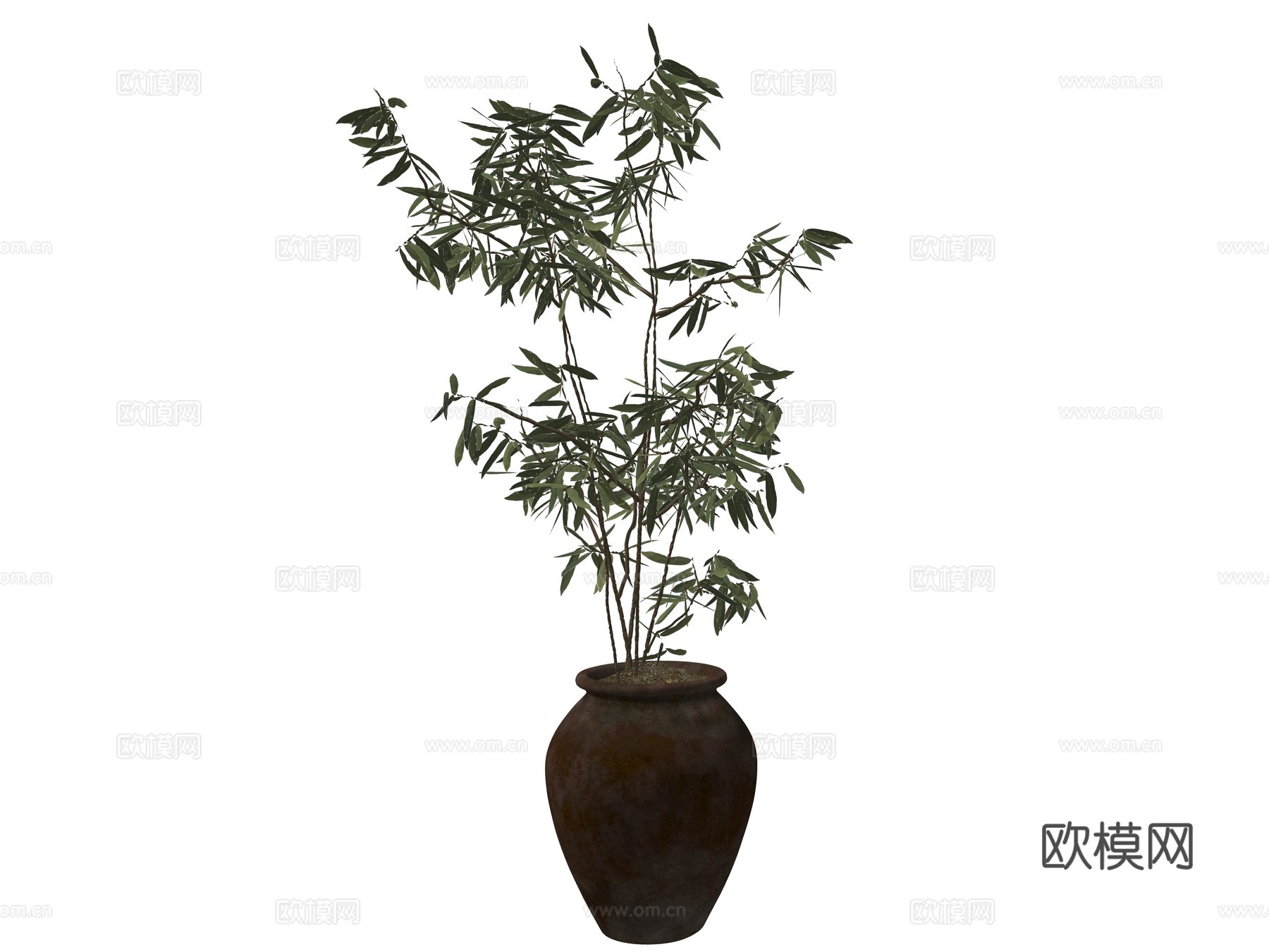 现代绿植盆栽植物su模型
