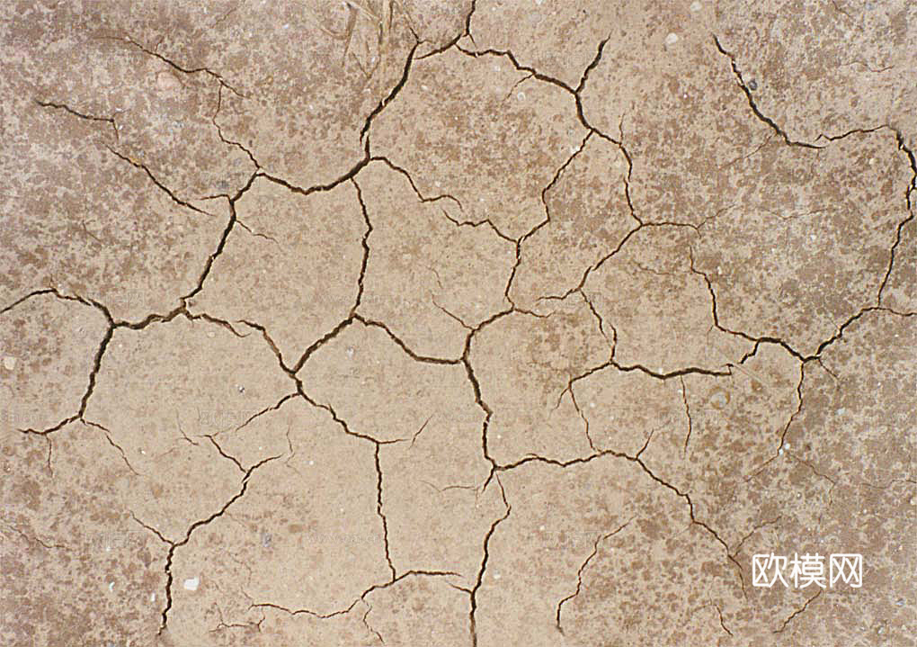 自然地面 土地 沙地