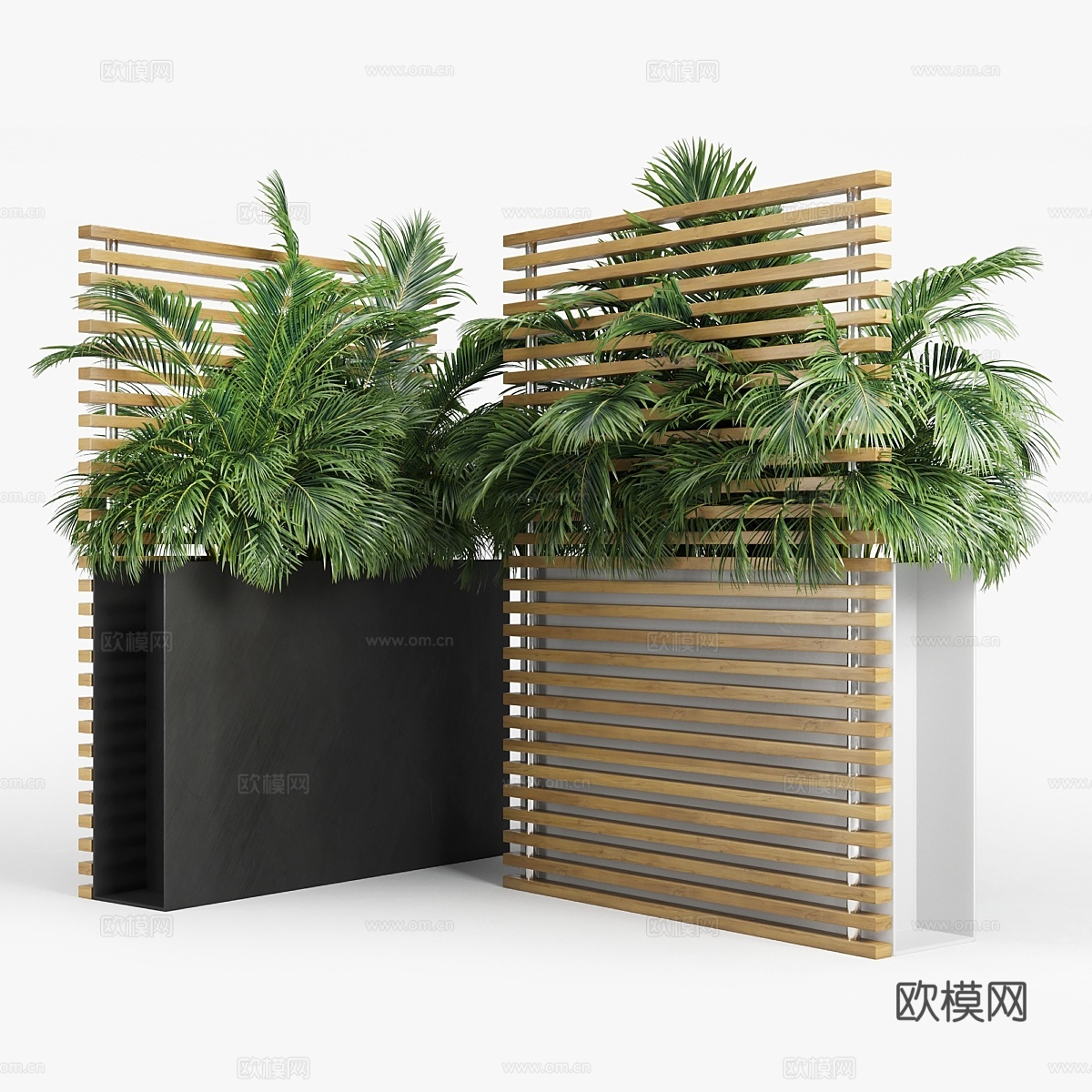 Sotomon3d模型下载