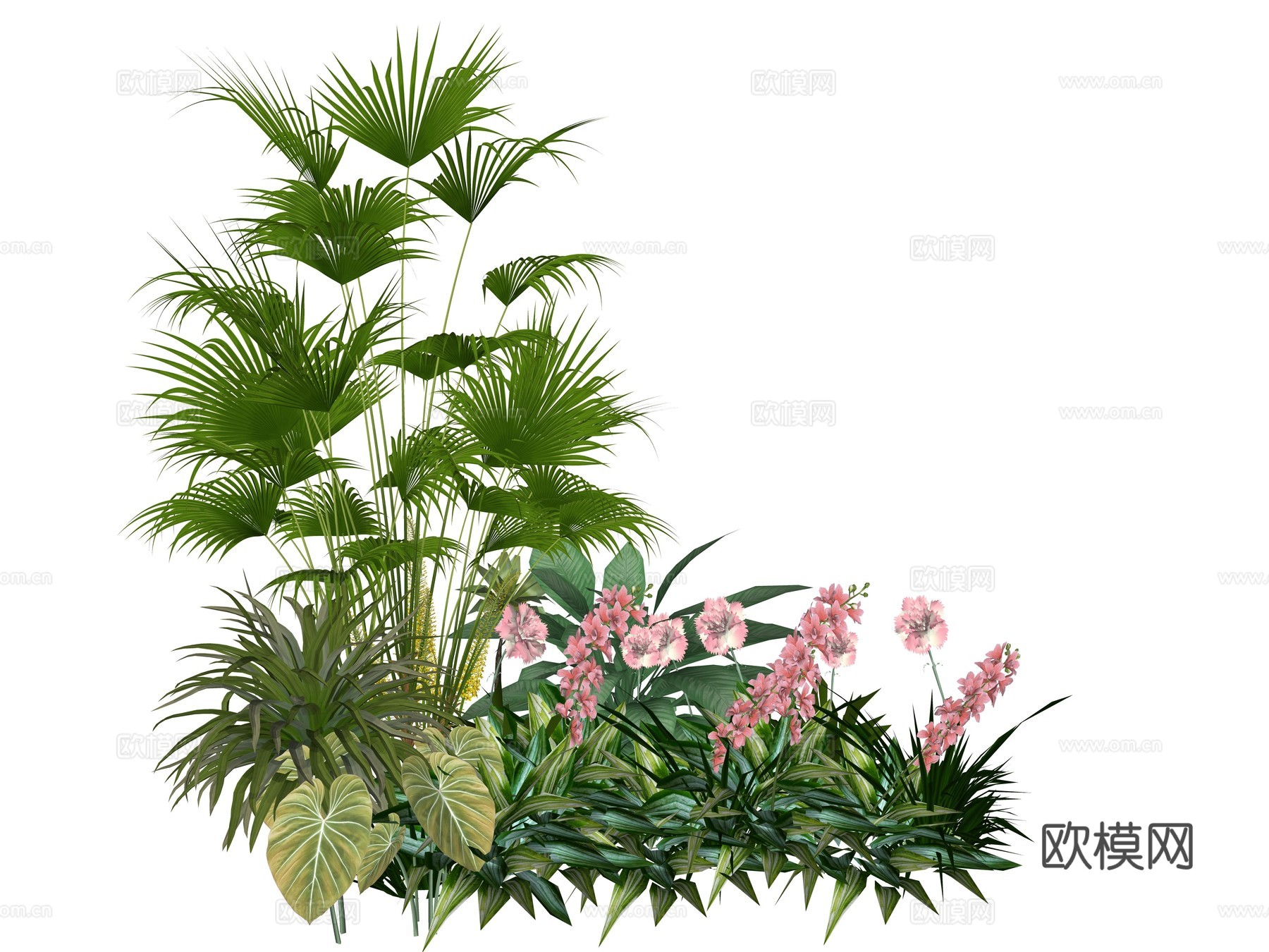 现代庭院植物堆景观组合su模型
