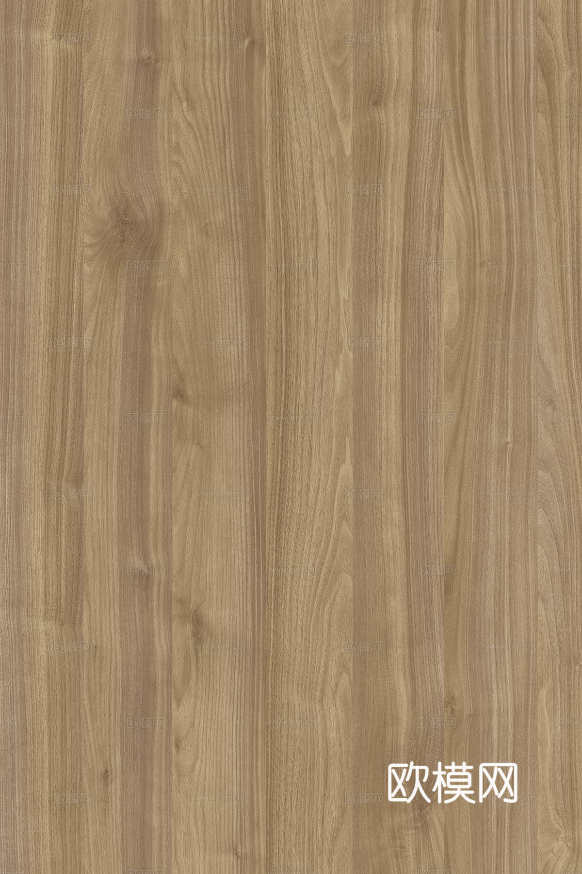 现代意式 轻奢 胡桃木 橡木 原木 地板 直纹木纹/木纹砖