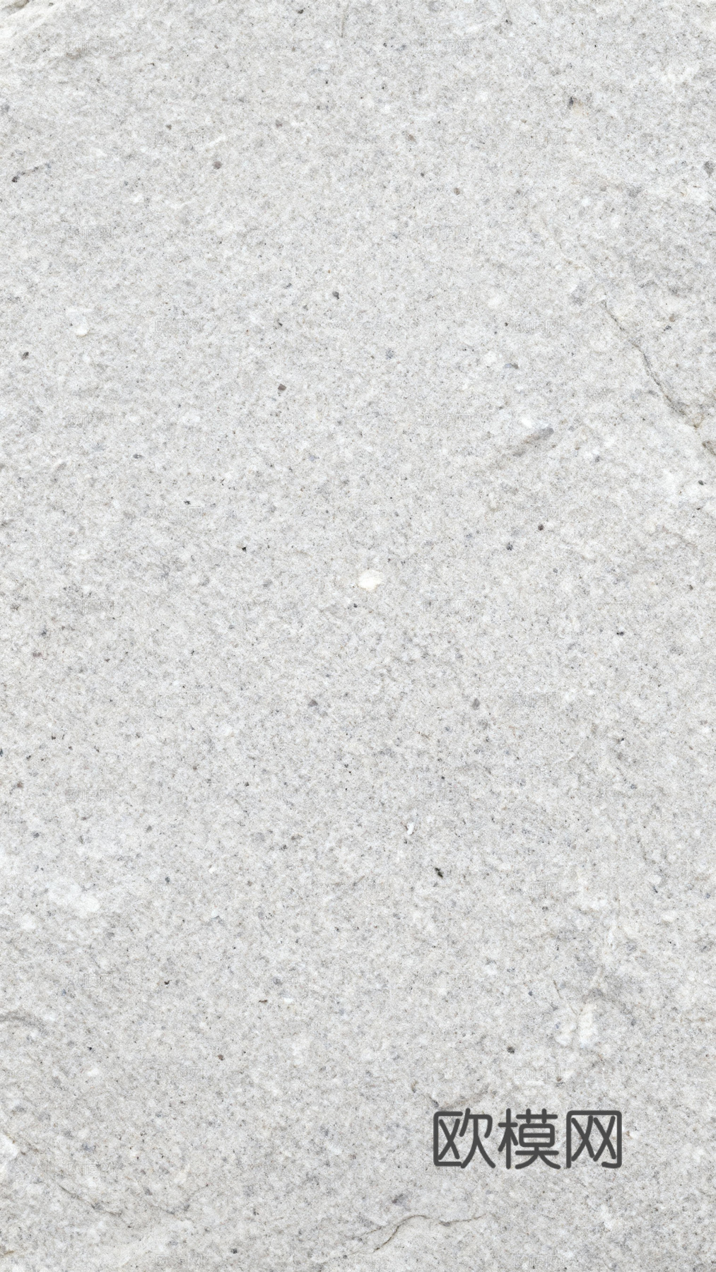 浅灰色洞石 罗马洞石 意大利洞石 石材背景墙 米白色洞石